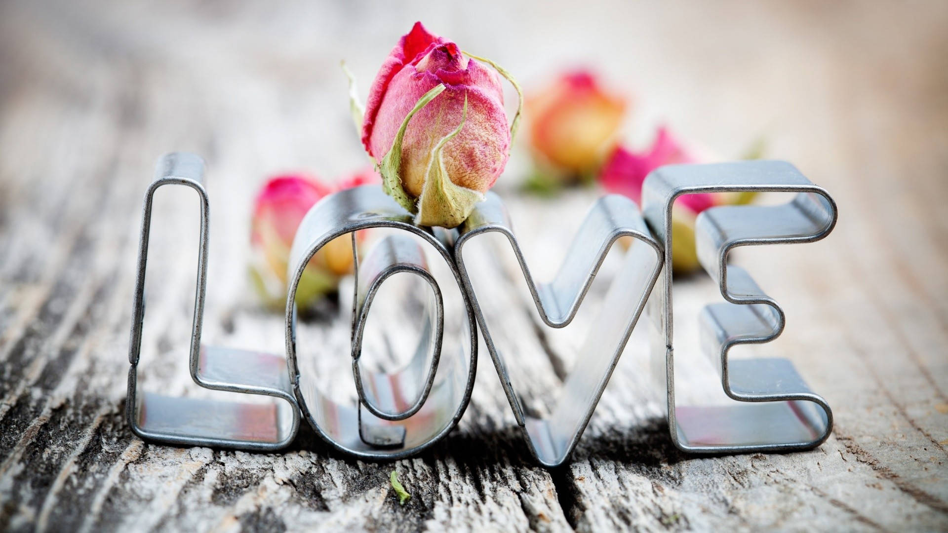 可愛的愛情 桌布 壁紙 — 金屬餅乾模具拼出 love 字樣，放在經風化的木頭上，附近有乾燥的粉紅玫瑰。