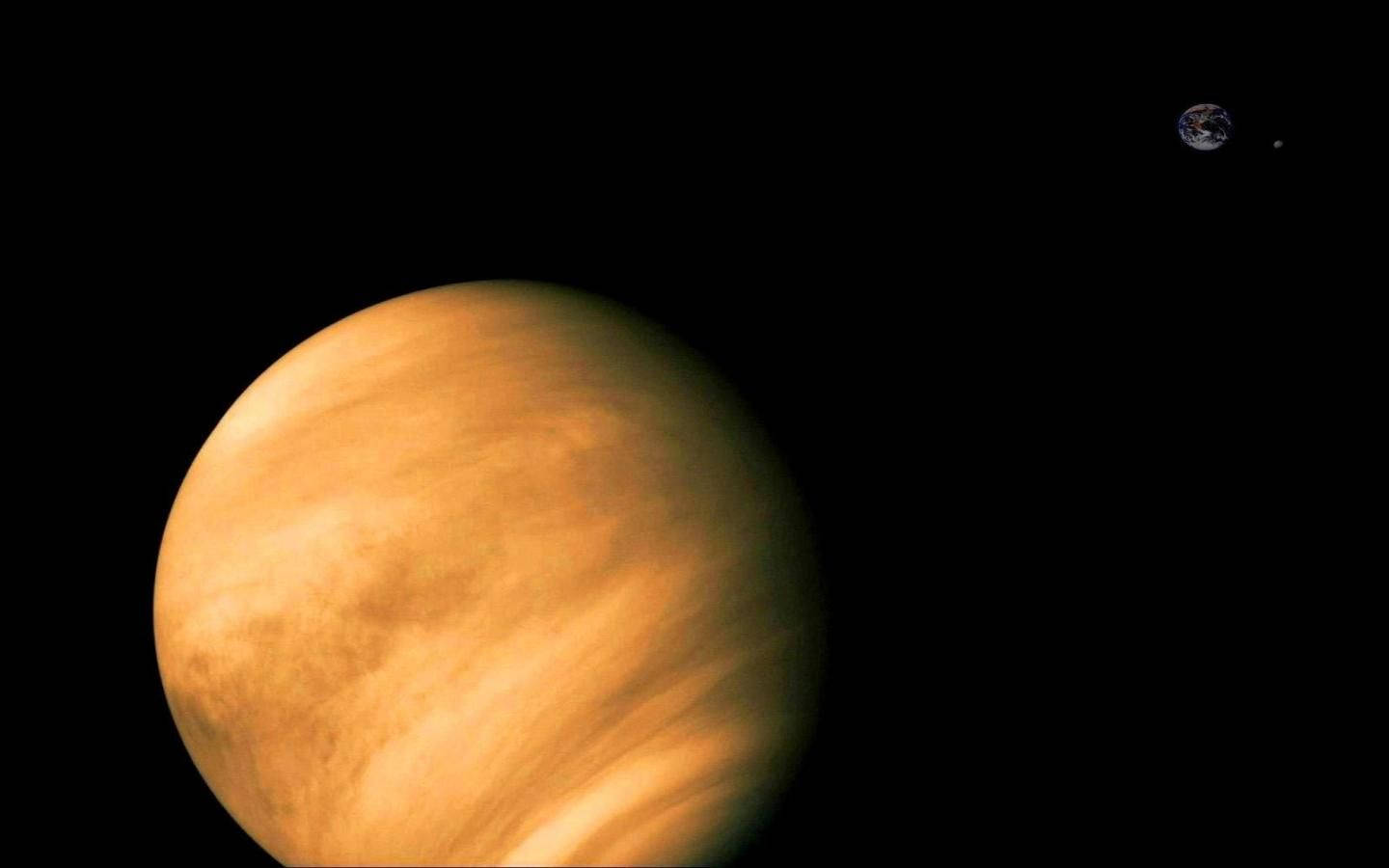 太陽系 桌布 壁紙 — 金星以旋轉的橙色雲層主導畫面，而地球在遙遠的黑色虛空中顯得渺小。