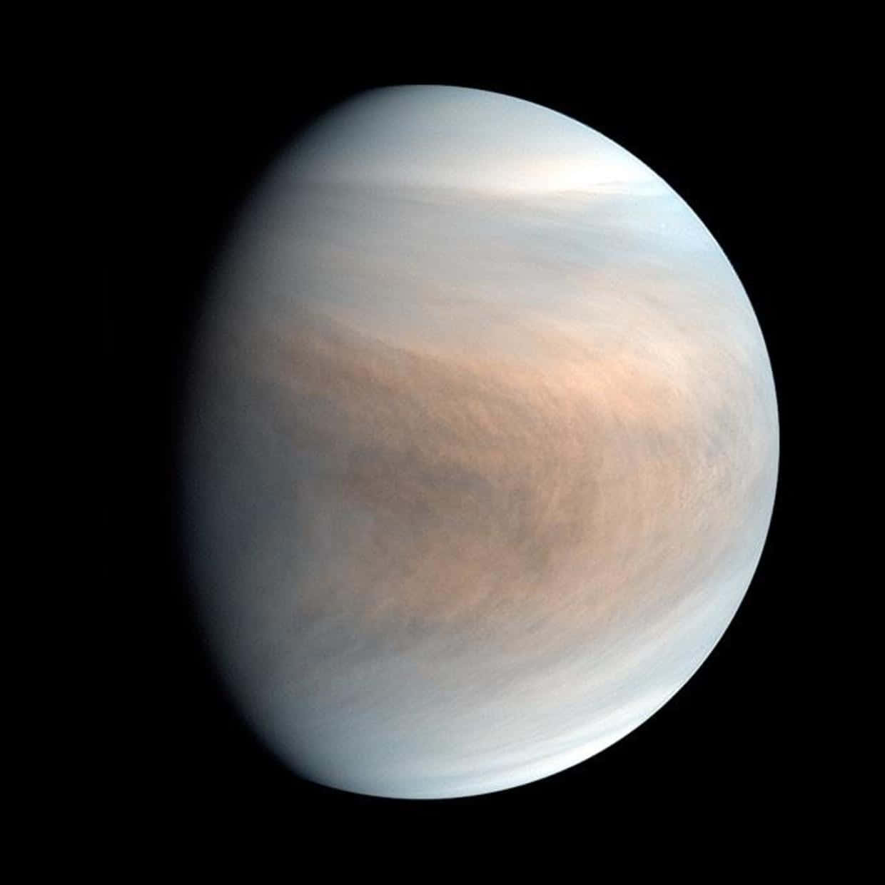 Venus 桌布 壁紙 — 金星在太空的黑色虛空中柔和發光，伴隨著旋轉的淡色雲層和微妙的橙色色調，呈現出一片寧靜的景象。