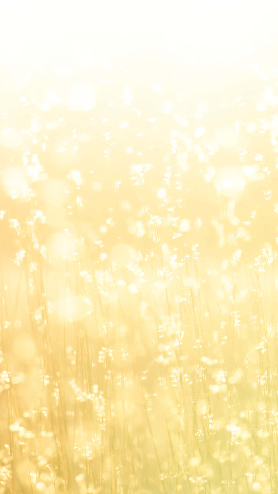 金色 2160 x 3840 背景 壁紙