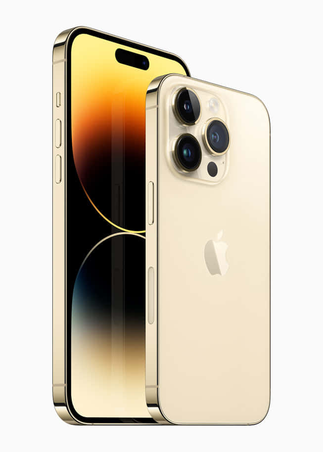 iPhone 桌布 壁紙 — 金色 iPhone 14 Pro 從正面和背面展示，背景為純白色，螢幕顯示漸變色。