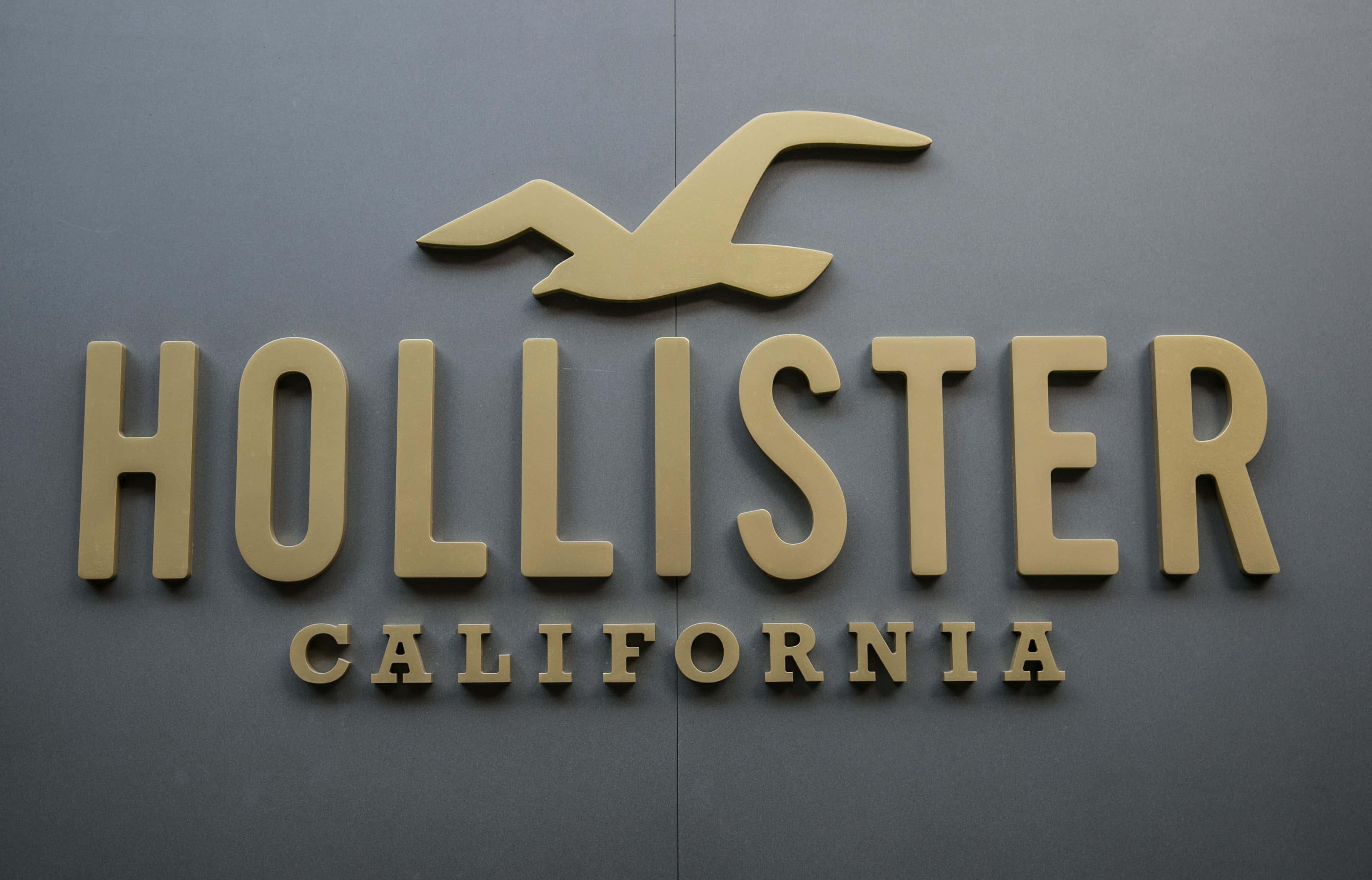 Hollister 桌布 壁紙 — 金色3D Hollister California標誌，帶有海鷗標誌，安裝在深灰色牆上。