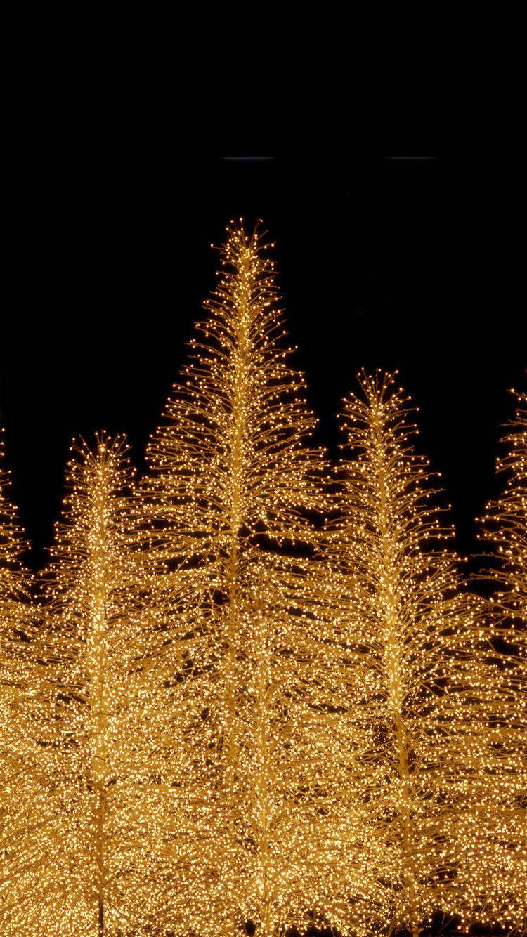 Christmas Lights iPhone 桌布 壁紙 — 金色串燈在漆黑的夜空中形成發光的樹形。