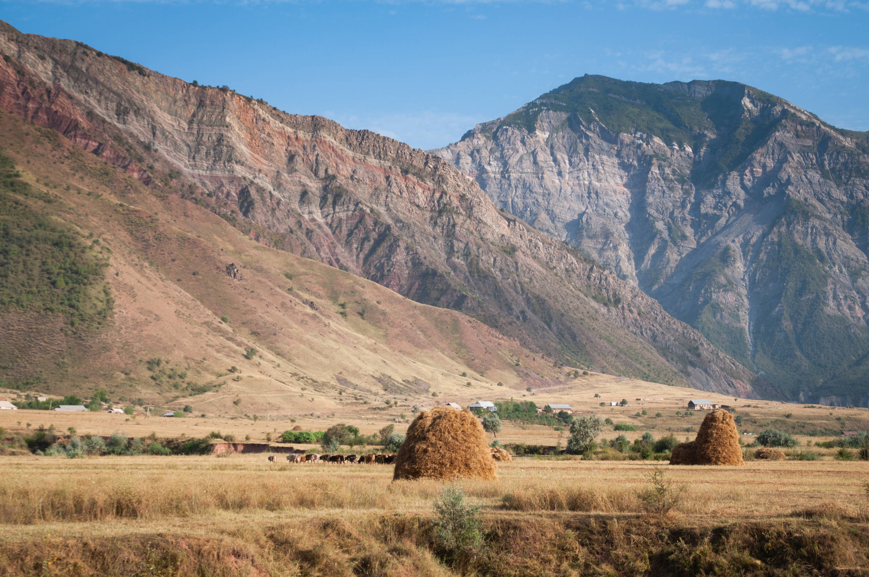 Tajikistan 桌布 壁紙 — 金色乾草捆點綴在陽光明媚的山谷中，山谷由崎嶇的紅色和灰色山脈環繞，天空清澈湛藍。