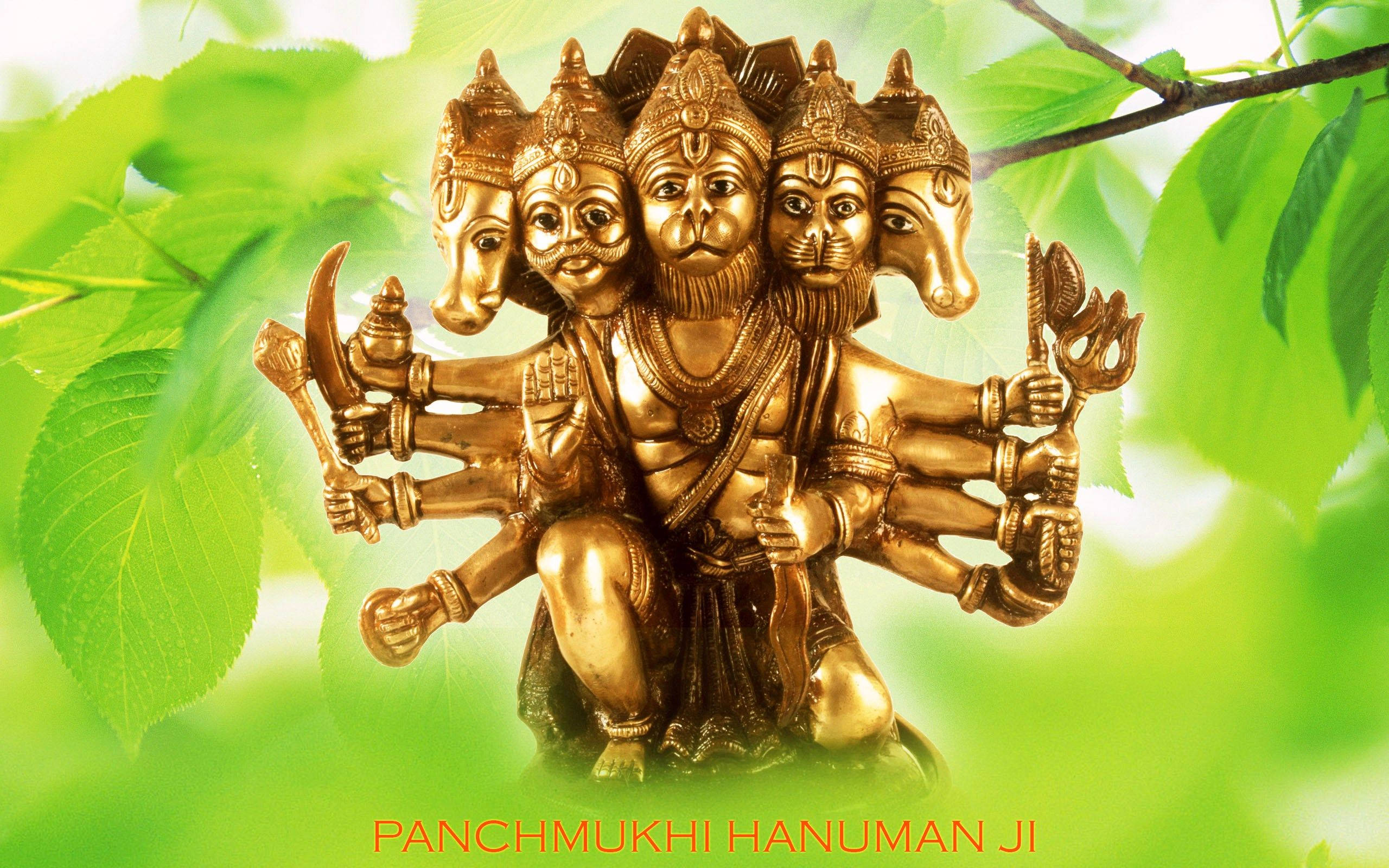 Panchmukhi Hanuman 桌布 壁紙 — 金色五面哈努曼雕像，多臂持武器，坐於翠綠葉叢中。