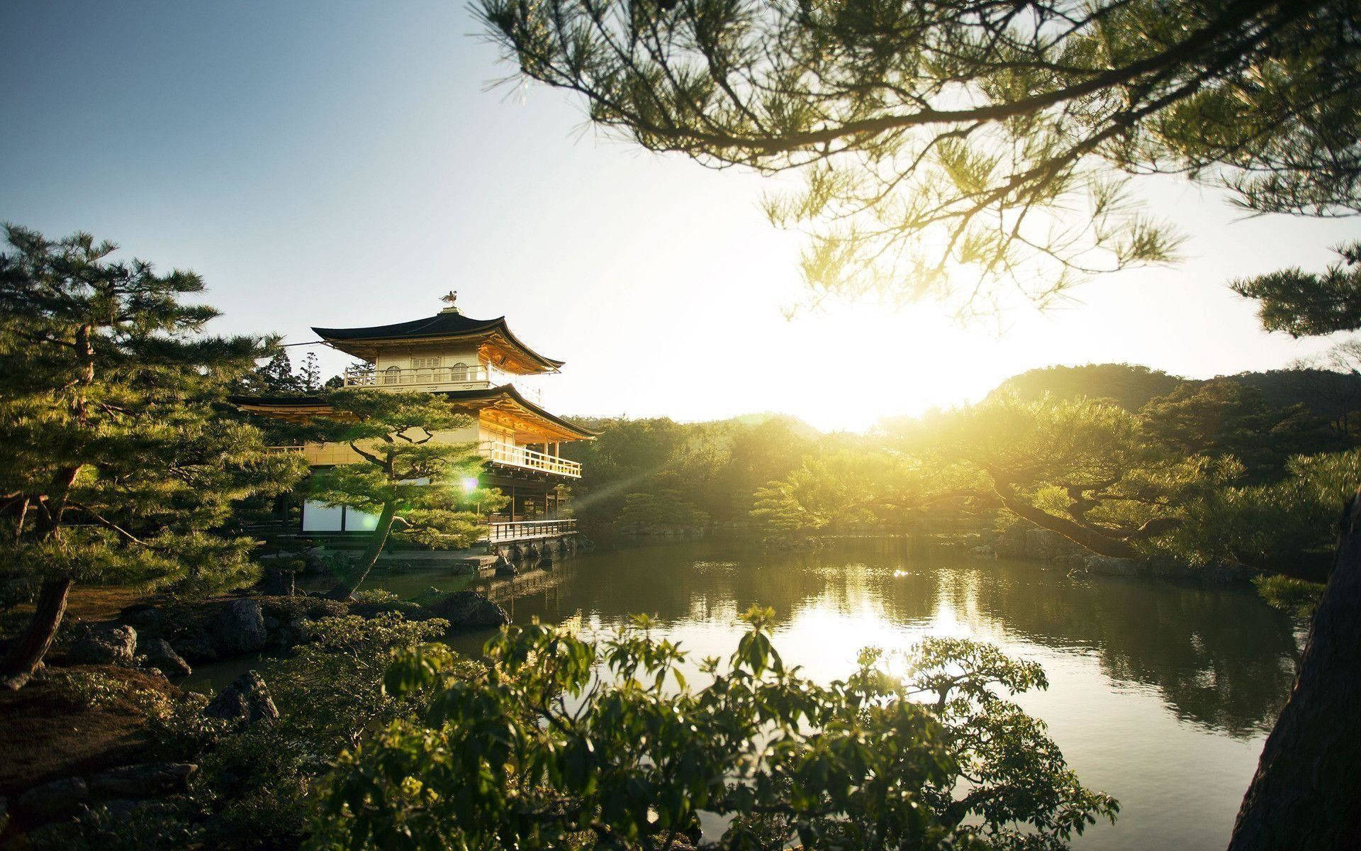 京都 桌布 壁紙 — 金色亭閣寺廟在日落時分透過松樹枝在京都日本寧靜的池塘上閃耀。