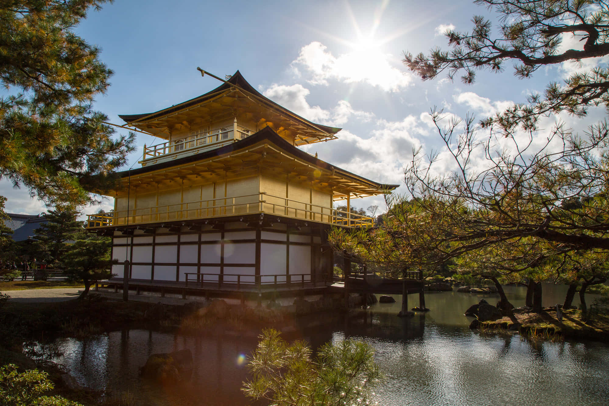 日本 桌布 壁紙 — 金色亭閣寺廟在陽光下透過松樹枝閃耀，倒映在平靜的池塘水中。