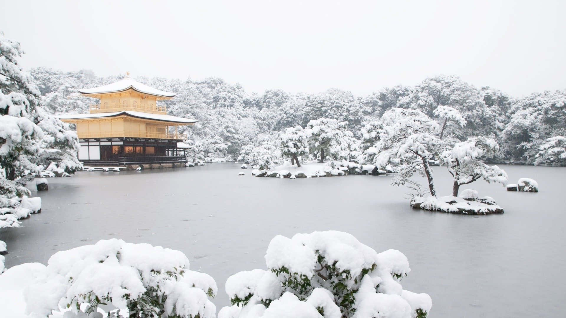 High Resolution Snow 桌布 壁紙 — 金色亭閣寺廟在雪中閃耀，被雪覆蓋的樹木和寧靜的湖泊環繞。