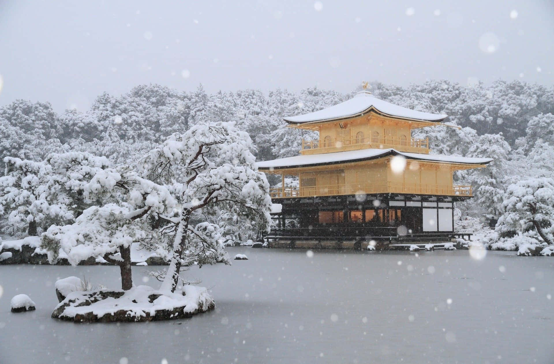 Best Winter 桌布 壁紙 — 金色亭閣寺廟在飄雪下閃閃發光，旁邊是寧靜的雪覆蓋湖泊和松樹。