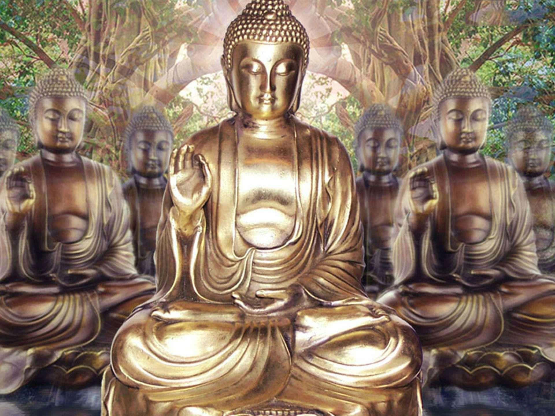 Gautama Buddha 桌布 壁紙 — 金色佛像在森林中靜坐，柔和光線穿過樹木。