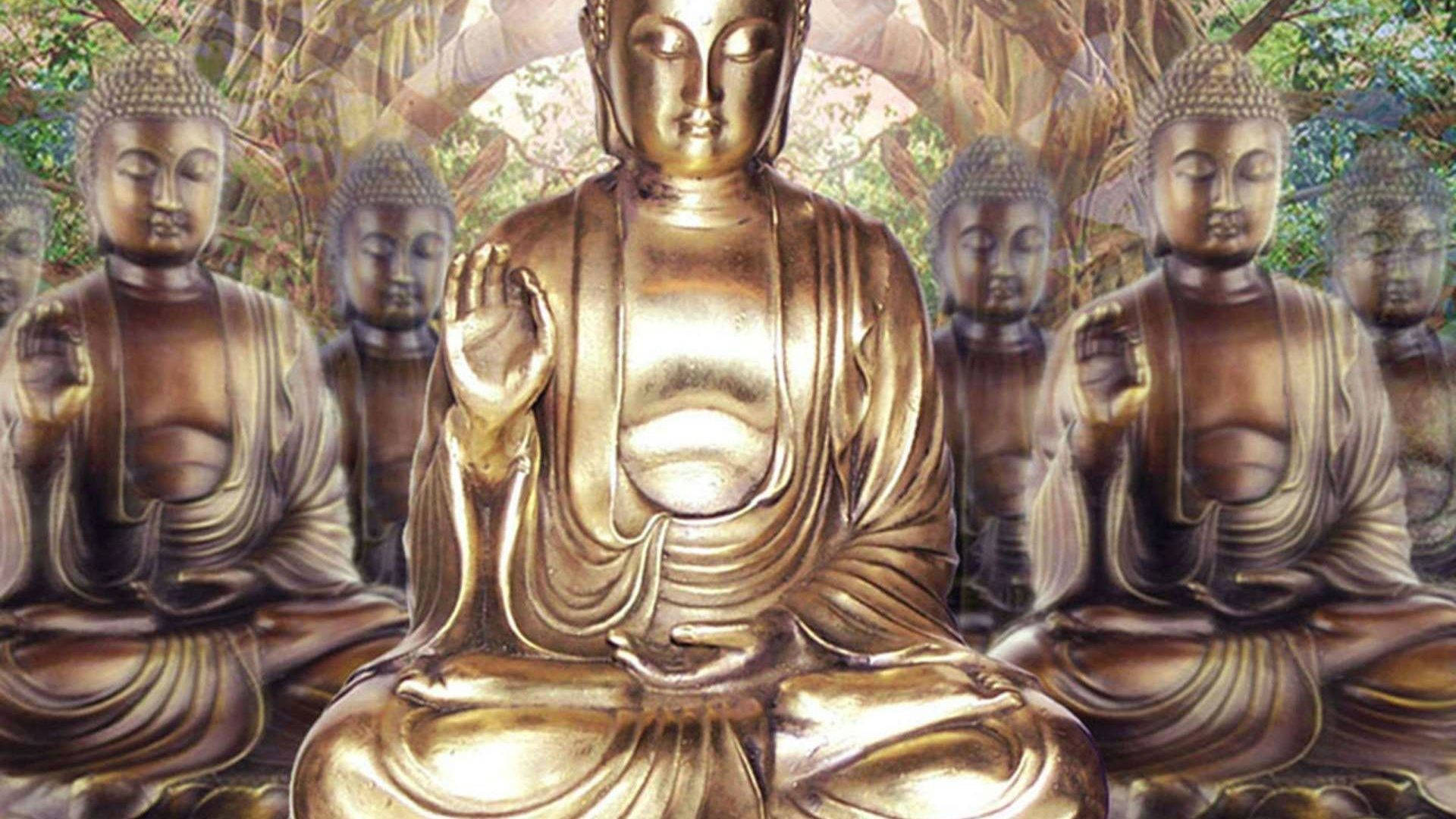 Gautam Buddha 桌布 壁紙 — 金色佛像在茂密綠樹的樹冠下靜坐冥想，柔和陽光穿透其間。