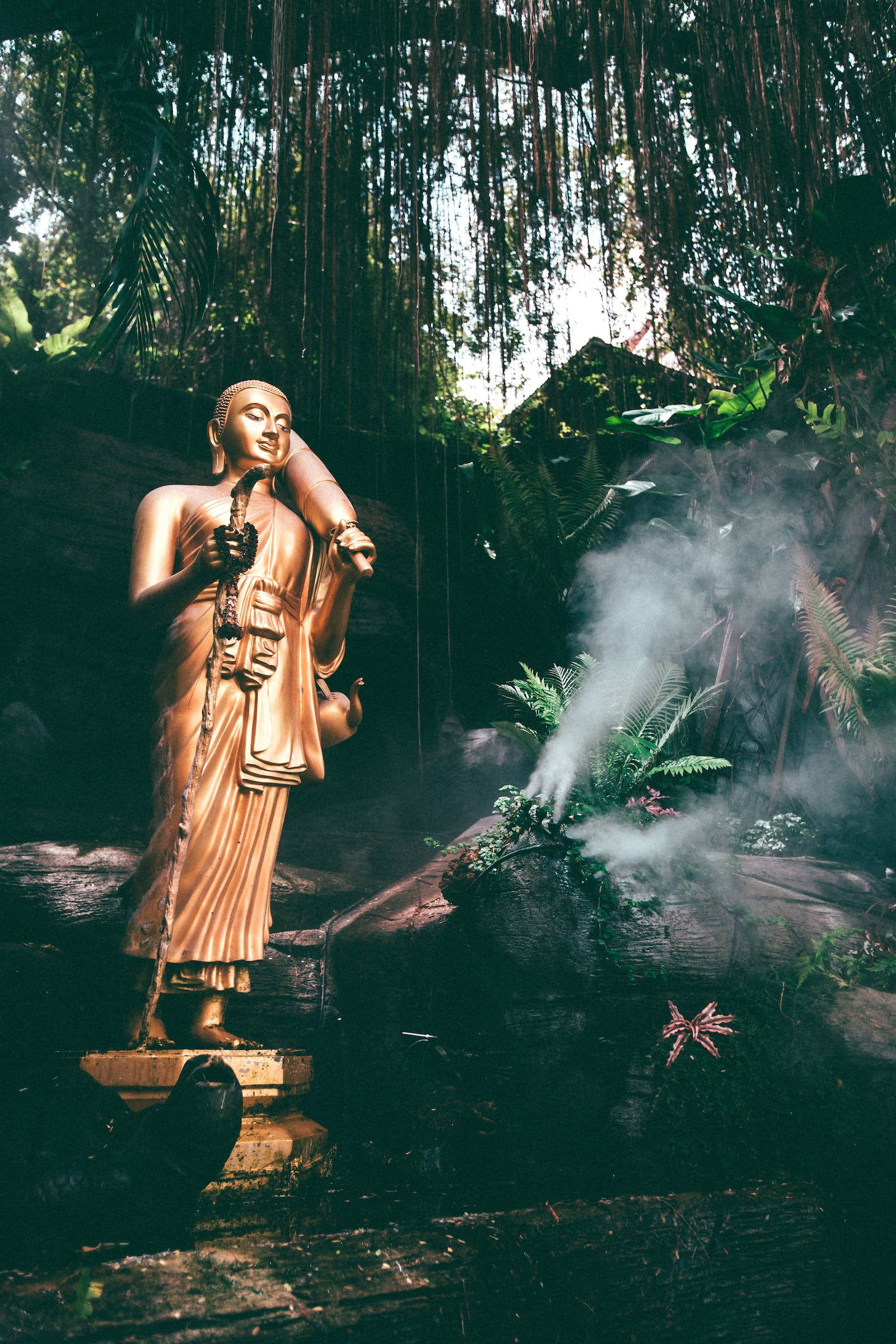 Gautam Buddha 桌布 壁紙 — 金色佛像寧靜地矗立在茂密的叢林寺廟中，周圍長滿青苔的岩石上霧氣升騰。