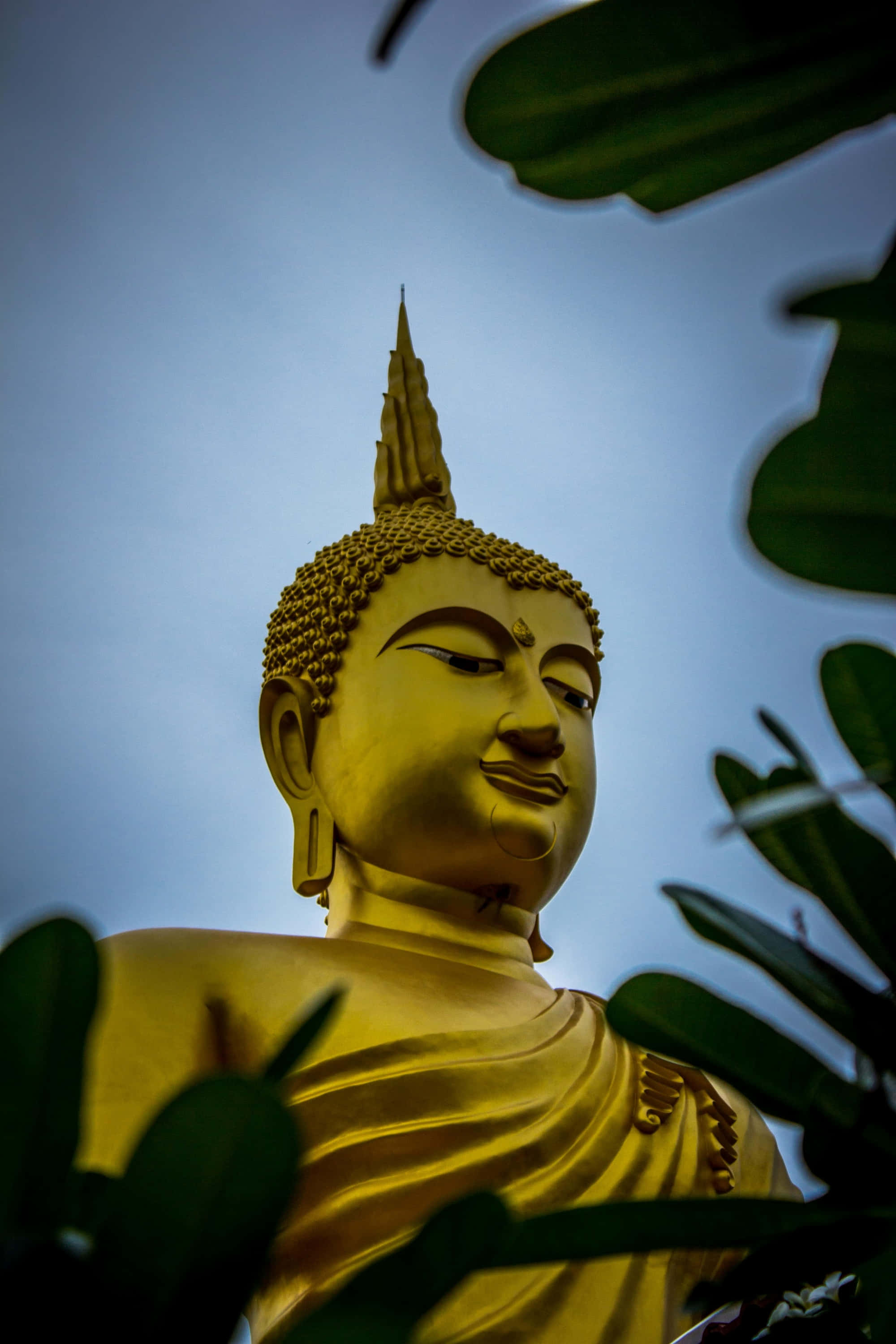 Gautama Buddha 桌布 壁紙 — 金色佛像被茂密的綠葉環繞，襯托著柔和的藍天。