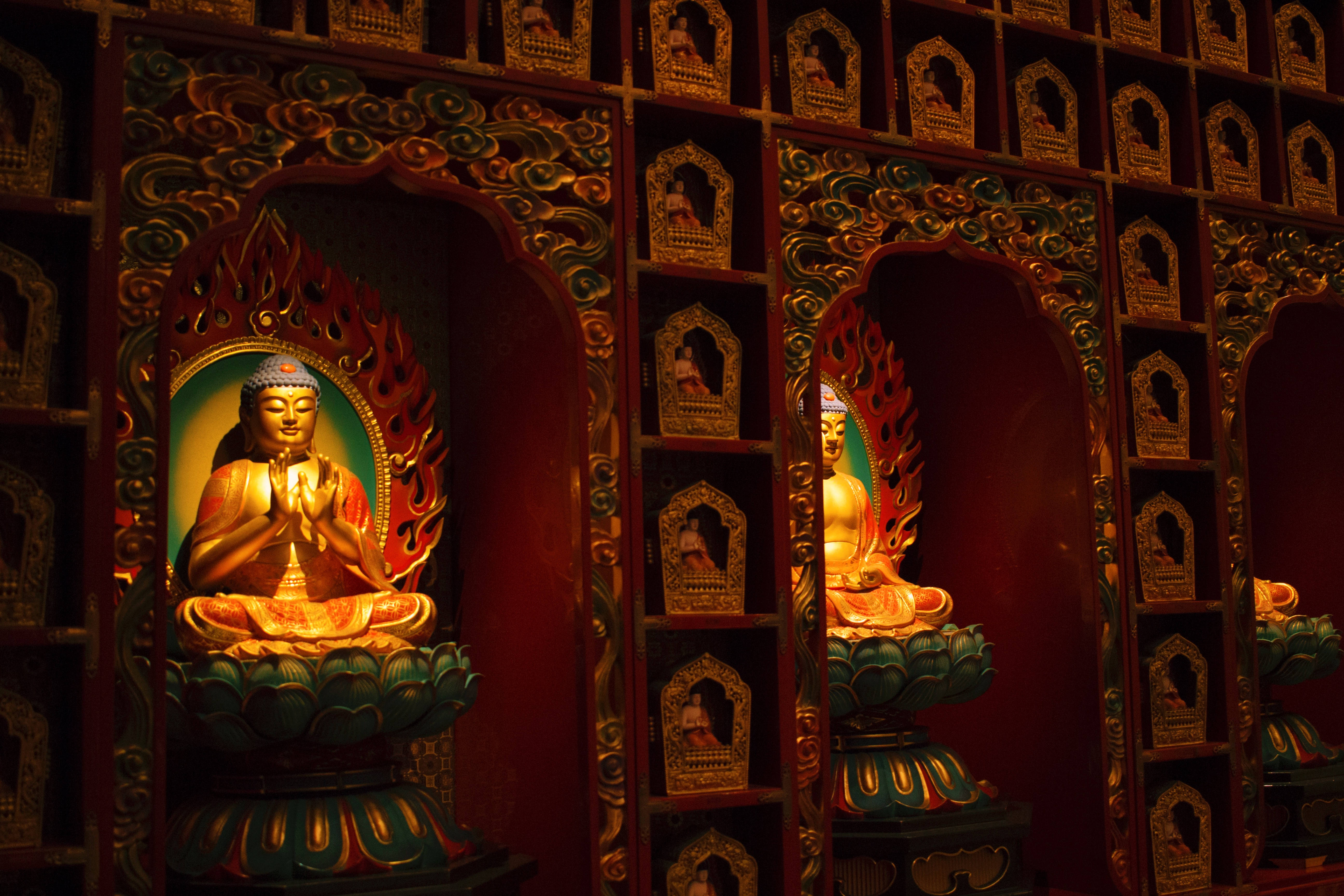 Gautam Buddha 桌布 壁紙 — 金色佛像靜靜地坐在華麗的紅色壁龕中，在寺廟的深色木架上溫暖地發光。