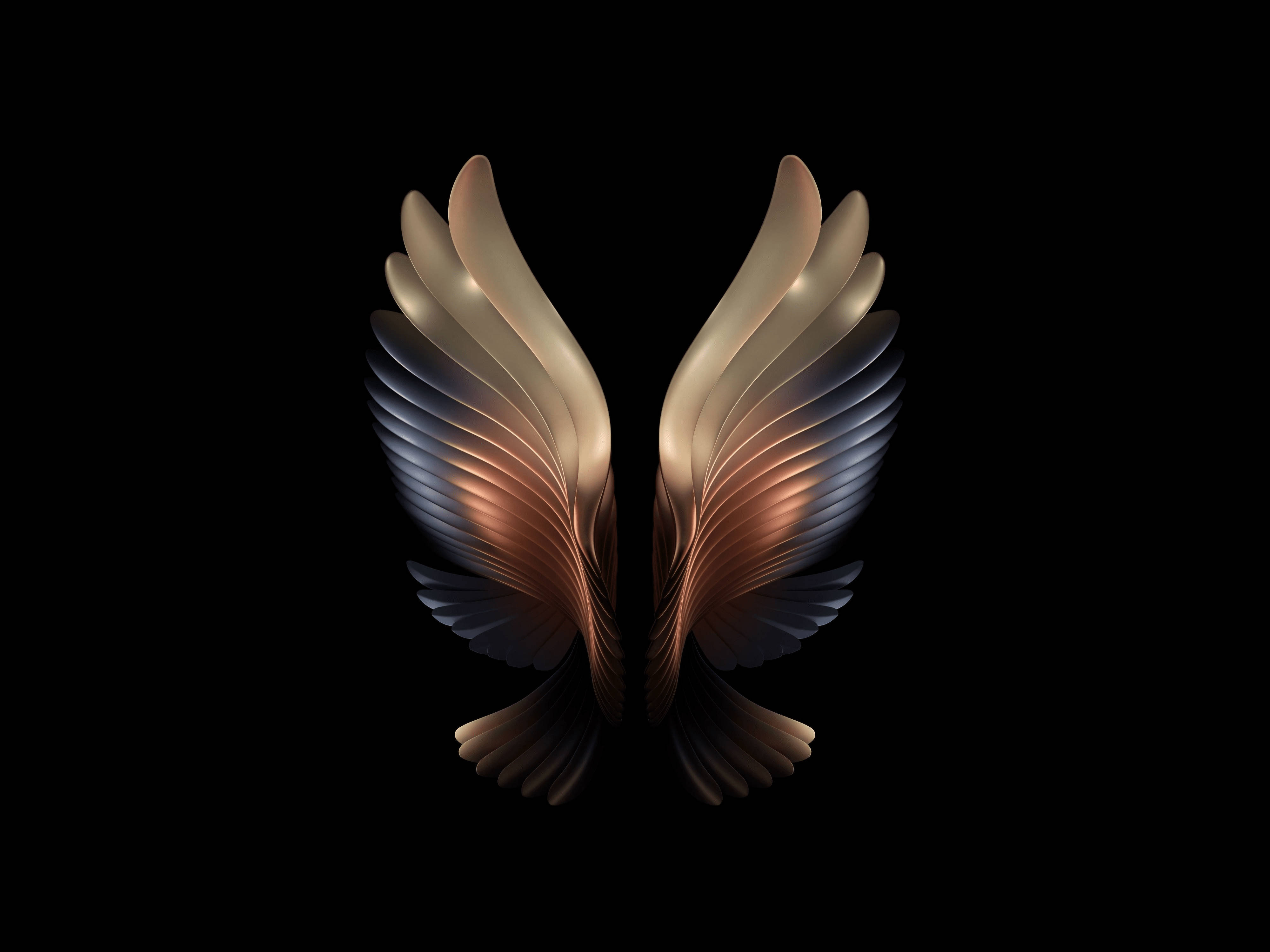 Wings 桌布 壁紙 — 金色和青銅色的金屬翅膀在純黑色背景上展開，帶有柔和發光的高光。
