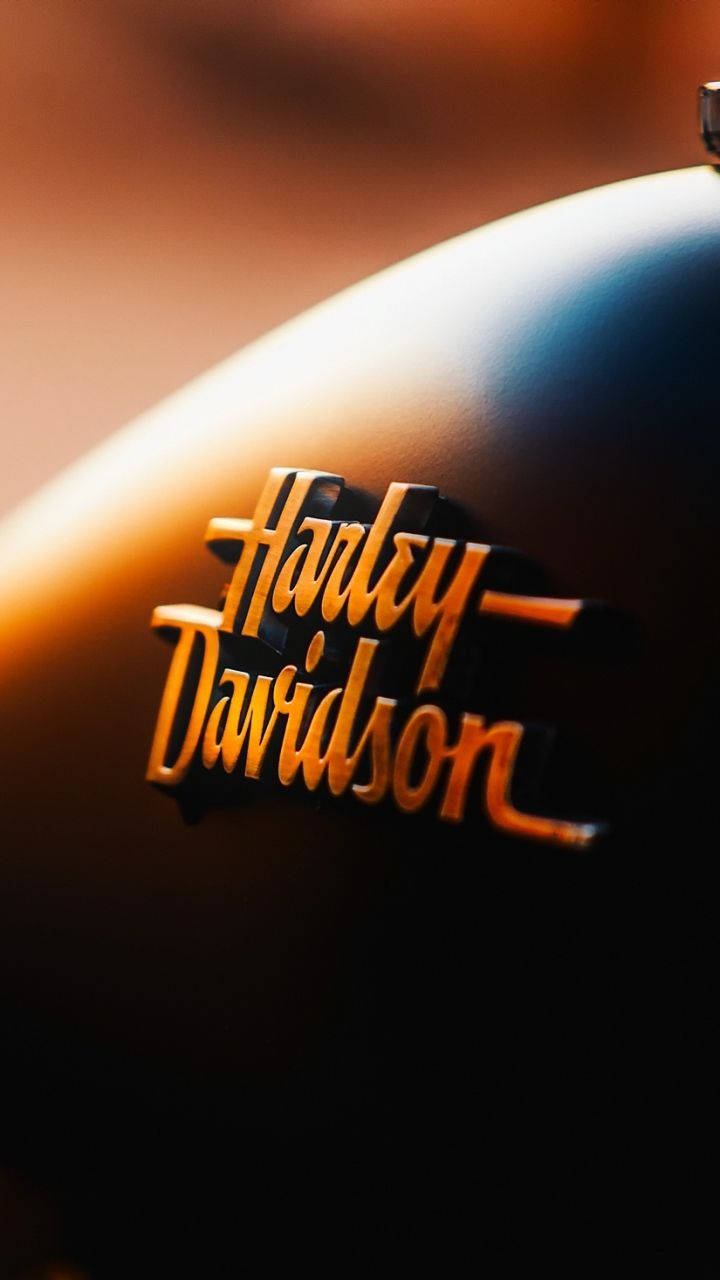 Harley 桌布 壁紙 — 金色哈雷戴維森標誌在啞光黑色油箱上閃耀，在溫暖的電影燈光下。