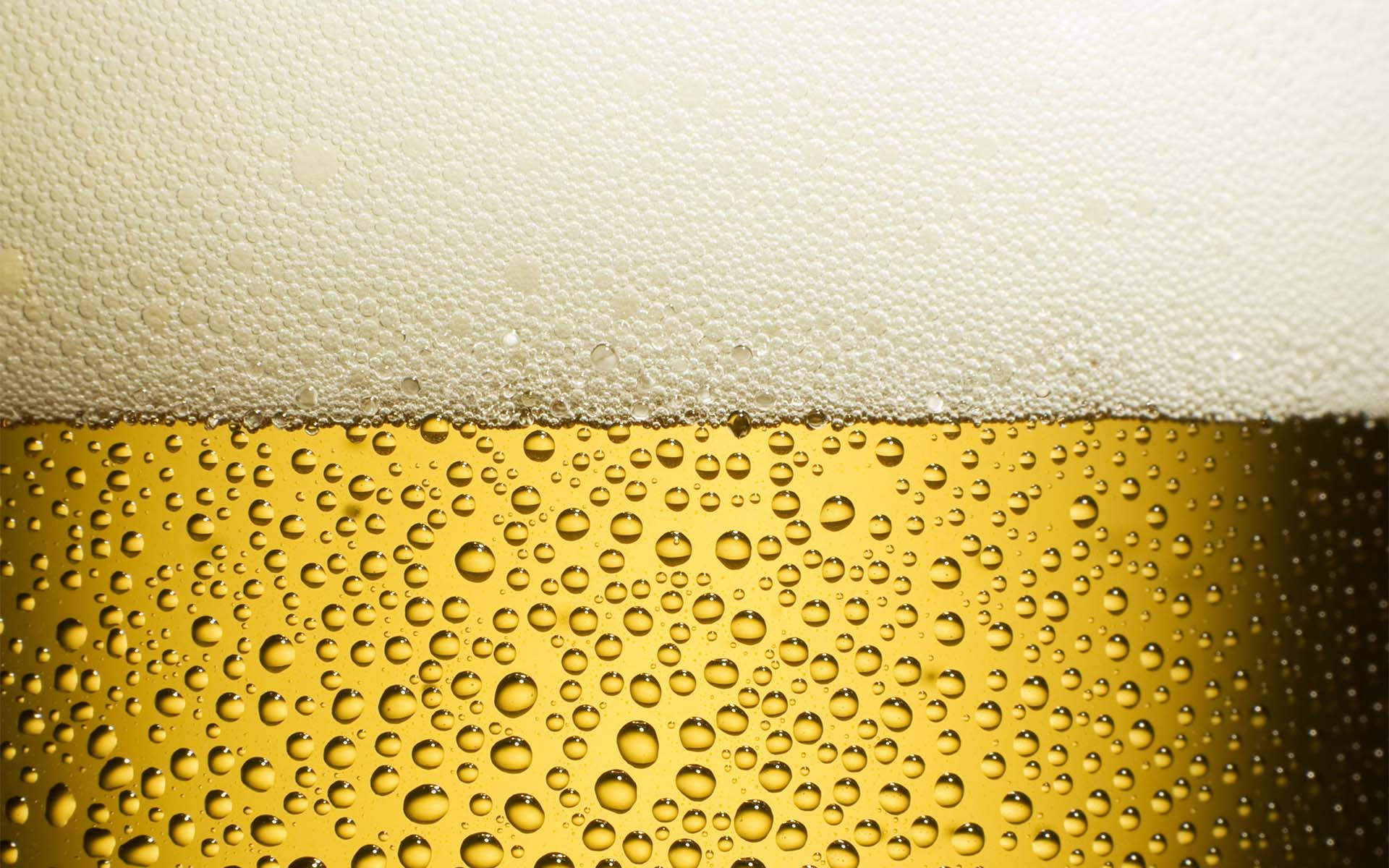 Beer 桌布 壁紙 — 金色啤酒的特寫，帶有冷凝水滴和奶油般的白色泡沫。