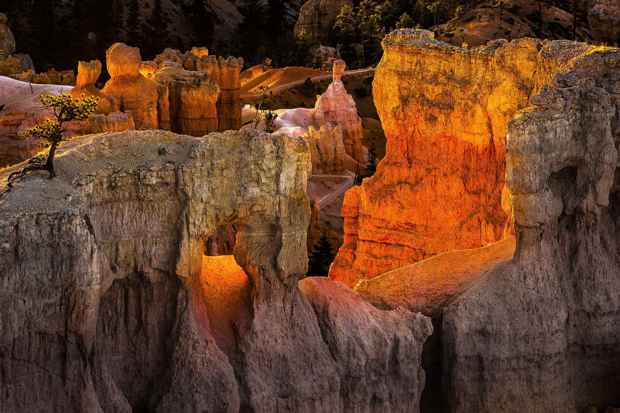 National Parks 桌布 壁紙 — 金色夕陽以溫暖光線沐浴著戲劇性的石林，陰影在峽谷裂縫中加深。