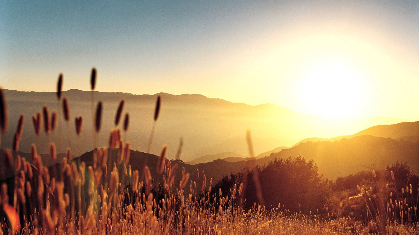 Winter 桌布 壁紙 — 金色夕陽以溫暖光芒沐浴遠山山脈，前景高草搖曳。