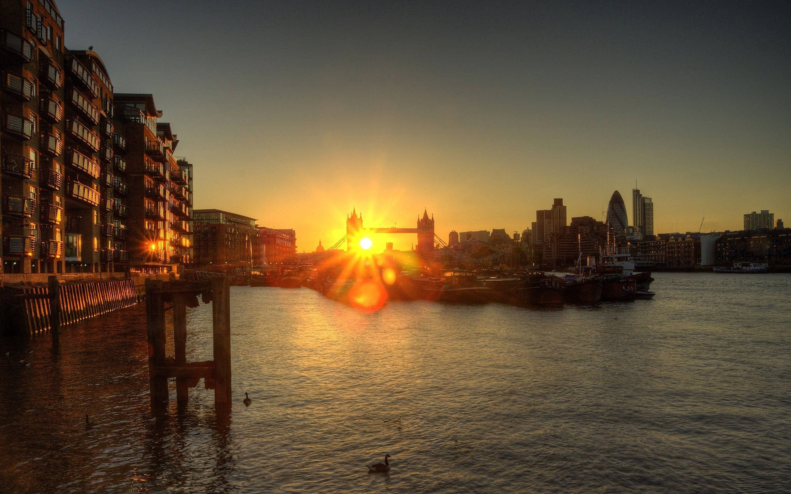 England 桌布 壁紙 — 金色夕陽在倫敦塔橋後方閃耀，其剪影在泰晤士河上投下長長的影子，下方有鴨子在游泳。