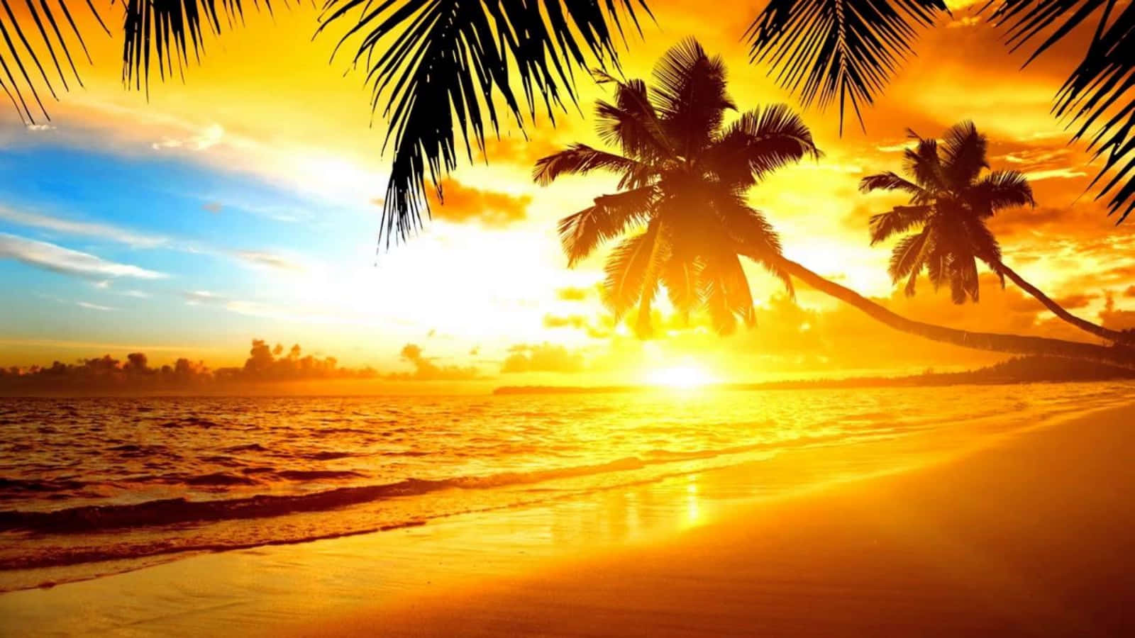 海灘 桌布 壁紙 — 金色夕陽在剪影棕櫚樹後閃耀，在寧靜的熱帶海灘上投下長長的影子。