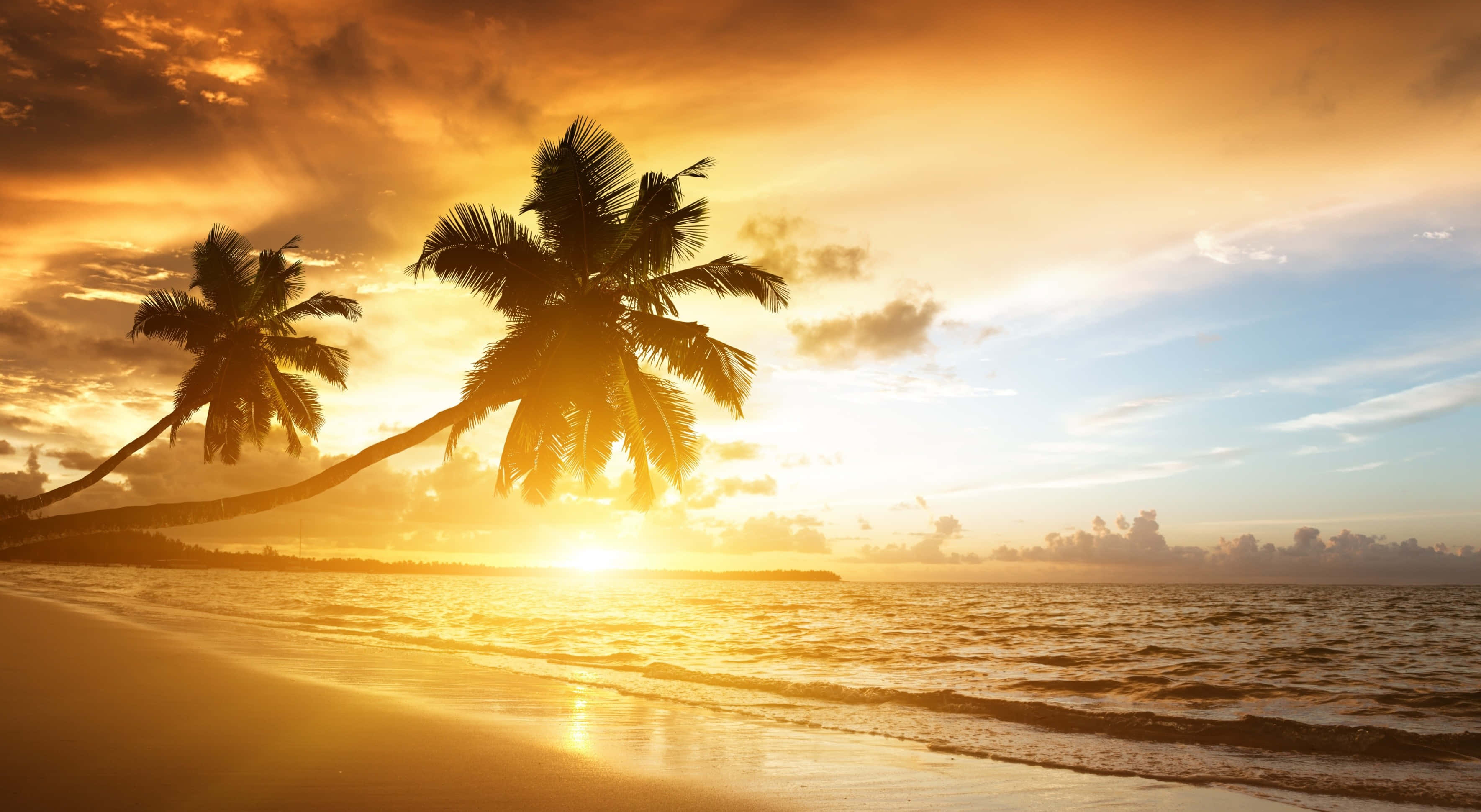 Ocean Sunset 桌布 壁紙 — 金色夕陽在平靜熱帶海灘上棕櫚樹的剪影後閃耀，伴隨著輕柔的海浪。