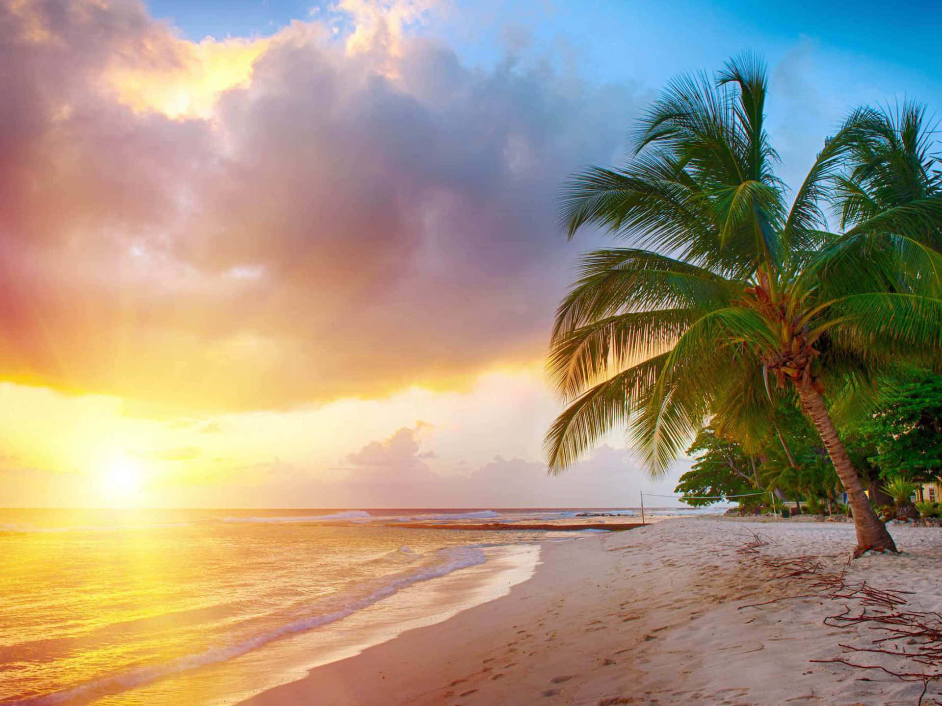 Caribbean Beach 桌布 壁紙 — 金色夕陽在平靜的海浪上閃耀，海浪拍打著孤獨棕櫚樹旁的白沙。