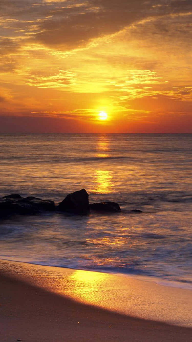 Sunrise iPhone 桌布 壁紙 — 金色夕陽在平靜的海面上閃耀，前景有剪影般的岩石和濕沙。