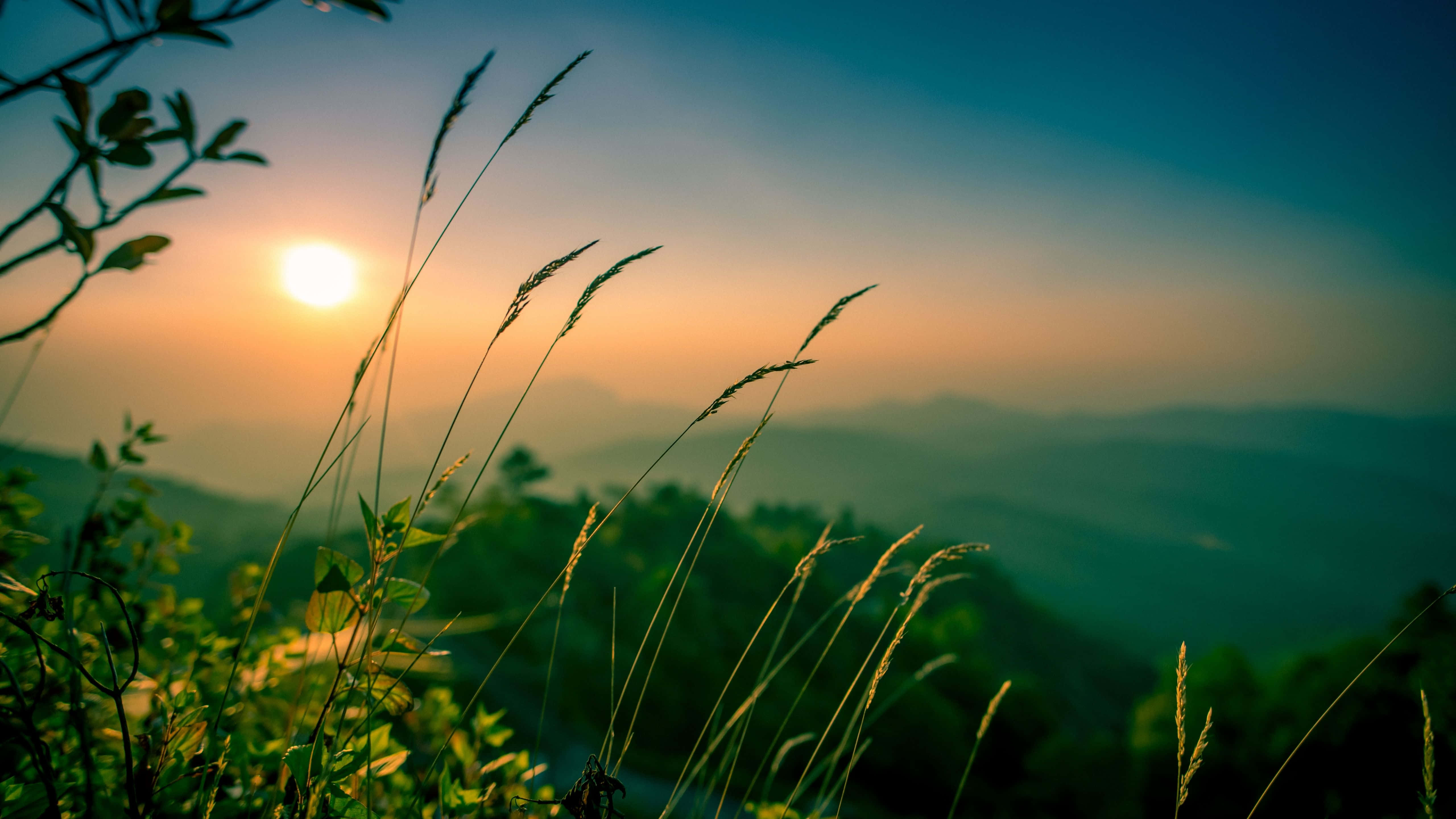 5120x2880 桌布 壁紙 — 金色夕陽在煙霧繚繞的山巒後落下，前景中剪影般的草和葉子形成框架。