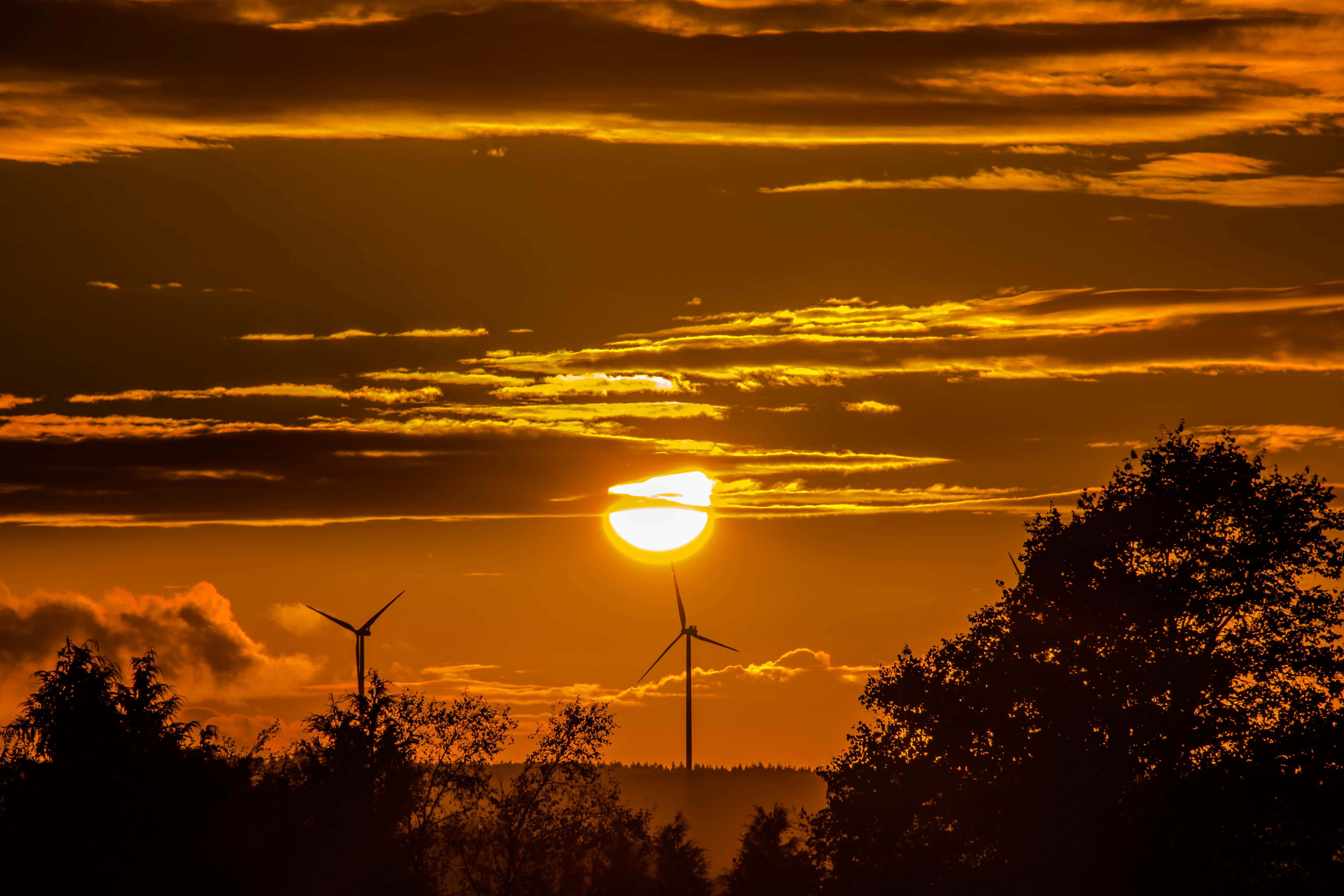 Wind 桌布 壁紙 — 金色夕陽在風力渦輪機背後發光，映襯著火橙色雲朵和深色樹梢的剪影。