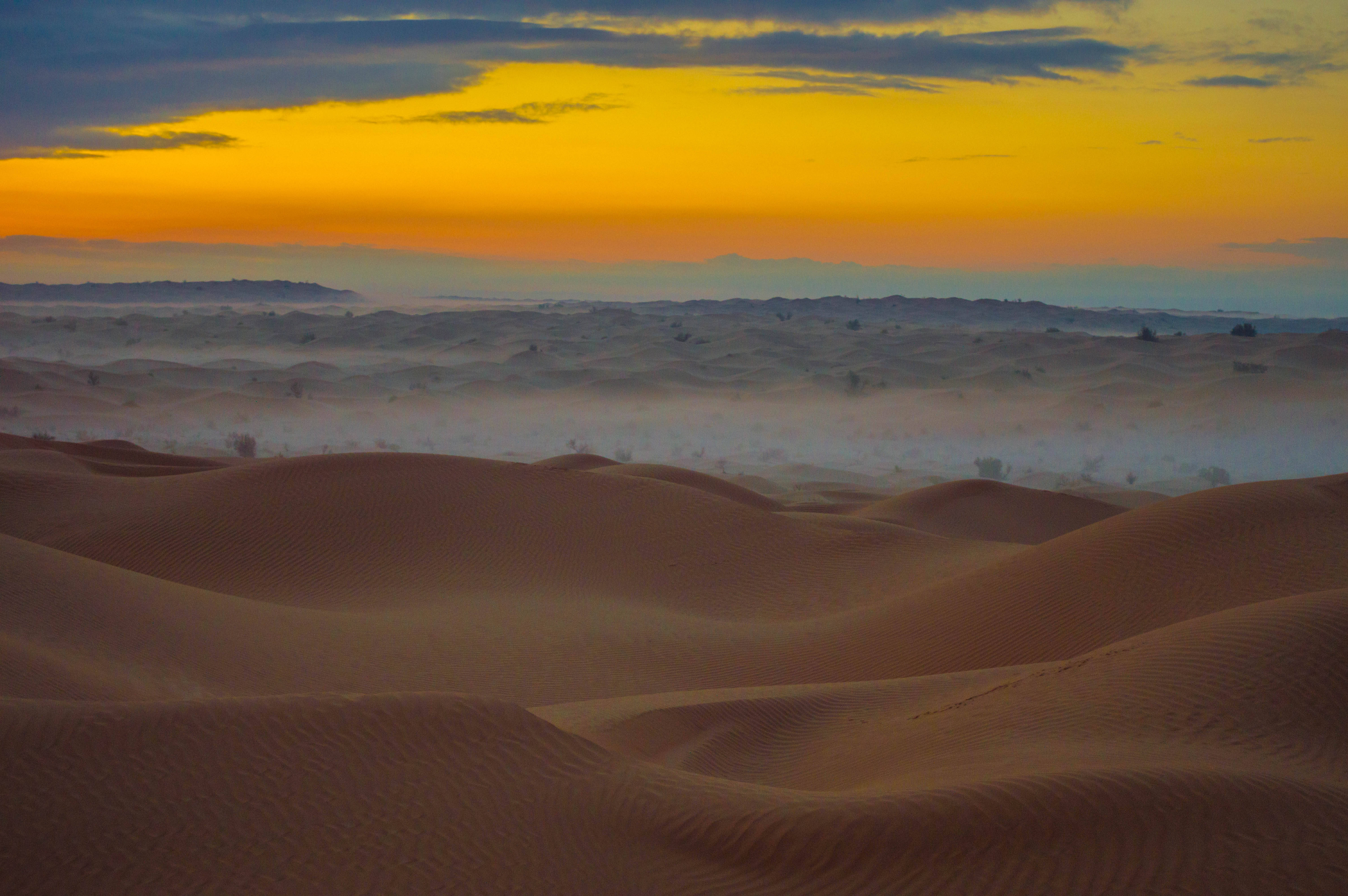 Sahara 桌布 壁紙 — 金色夕陽將廣闊起伏的沙丘塗上溫暖色調，薄霧在沙漠地平線上飄移。