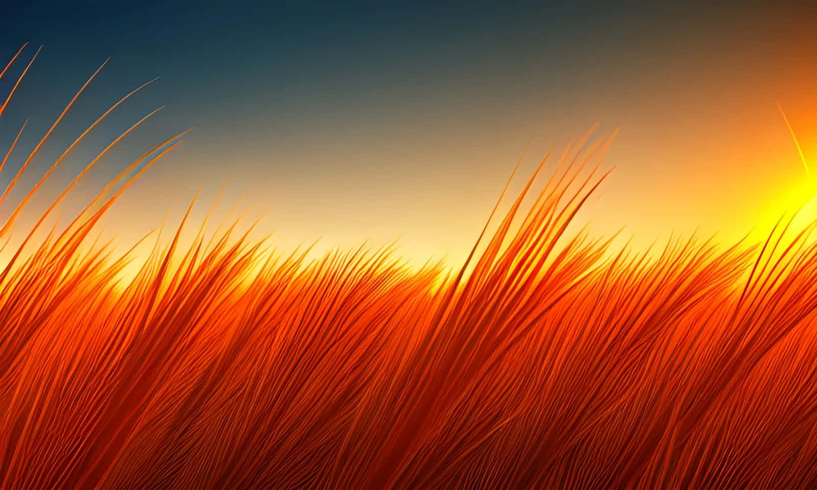 橘色 桌布 壁紙 — 金色夕陽將高高的草叢沐浴在熾熱的橙色光芒中，映襯著漸變的天空。