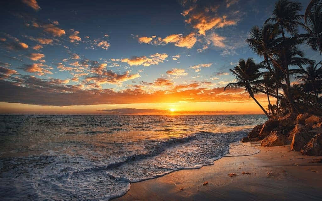 日落 桌布 壁紙 — 金色夕陽染紅天空和海洋，海浪拍打著棕櫚樹成蔭的沙灘。
