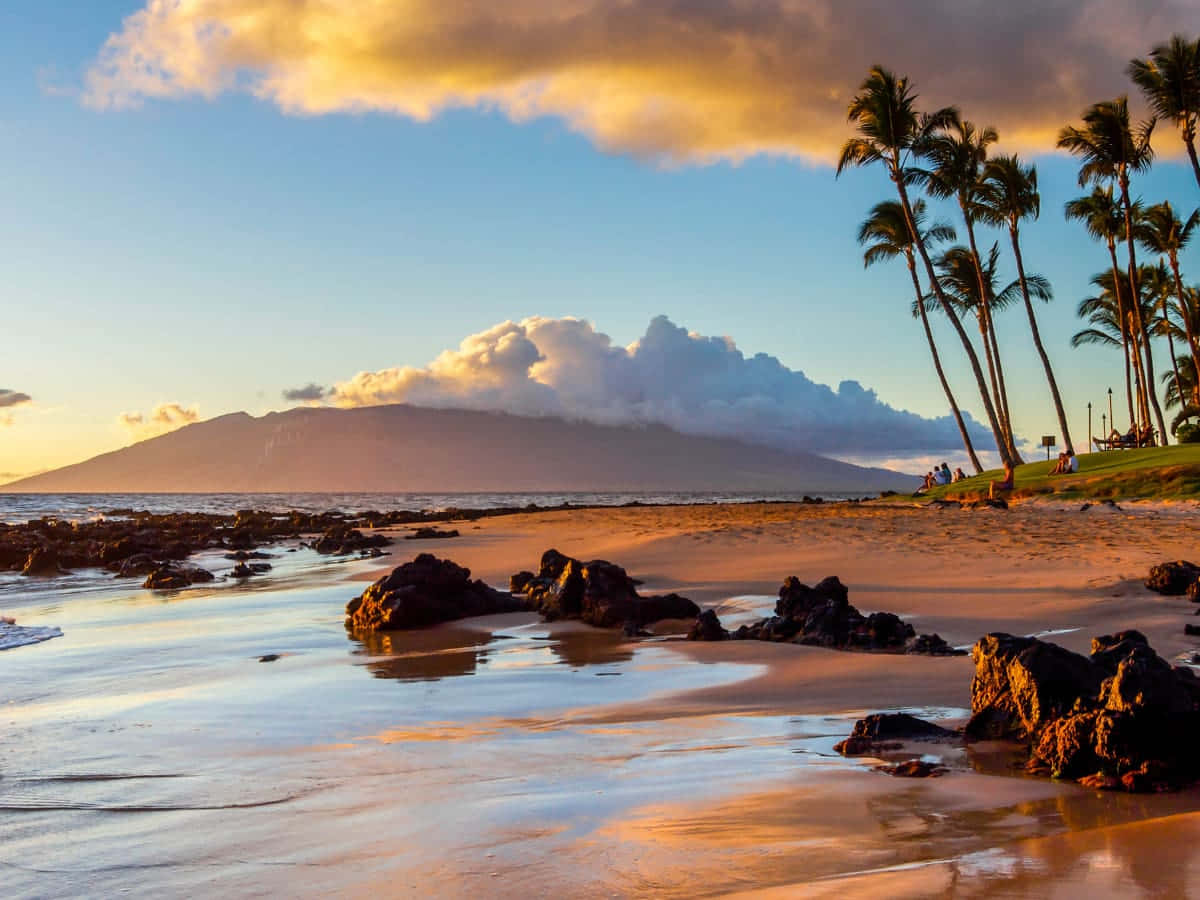 Hawaiian Island 桌布 壁紙 — 金色夕陽沐浴著熱帶海灘，棕櫚樹和遠處的火山山脈。