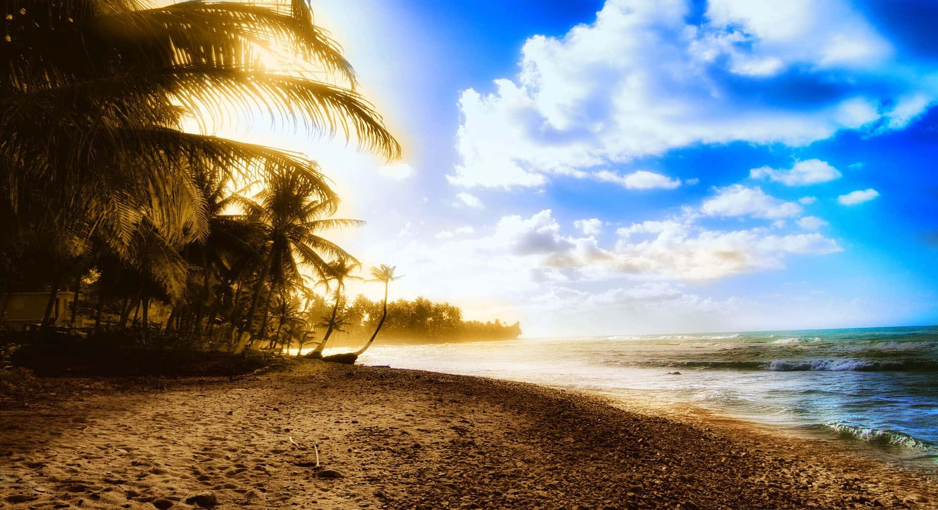 Summer Landscape 桌布 壁紙 — 金色夕陽灑在棕櫚樹和沙灘上，海浪在湛藍天空和蓬鬆雲朵下拍打。