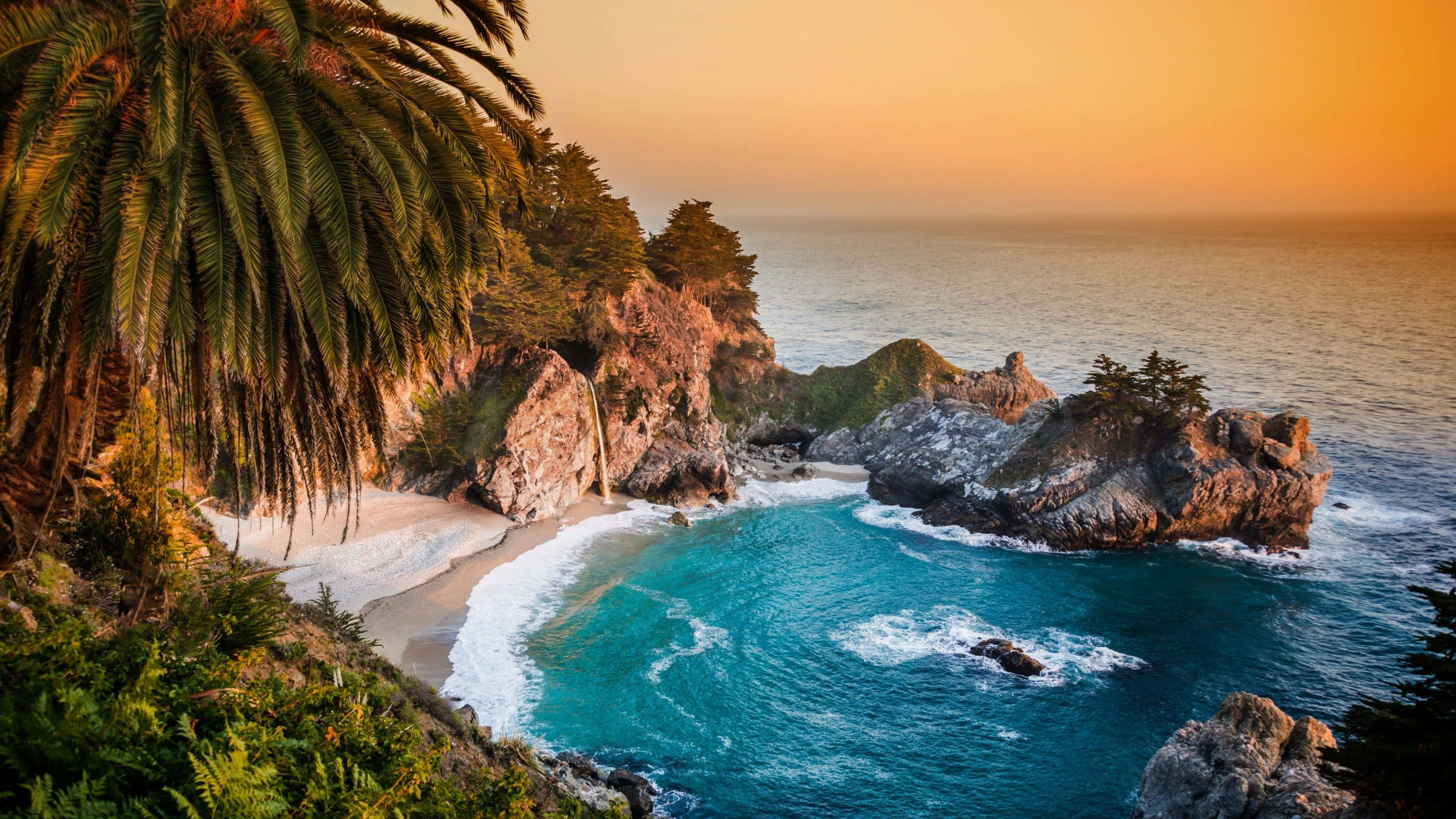 海景 桌布 壁紙 — 金色夕陽灑落在一個僻靜的海灣，碧綠的海水拍打著岩石海岸和茂密的棕櫚樹。