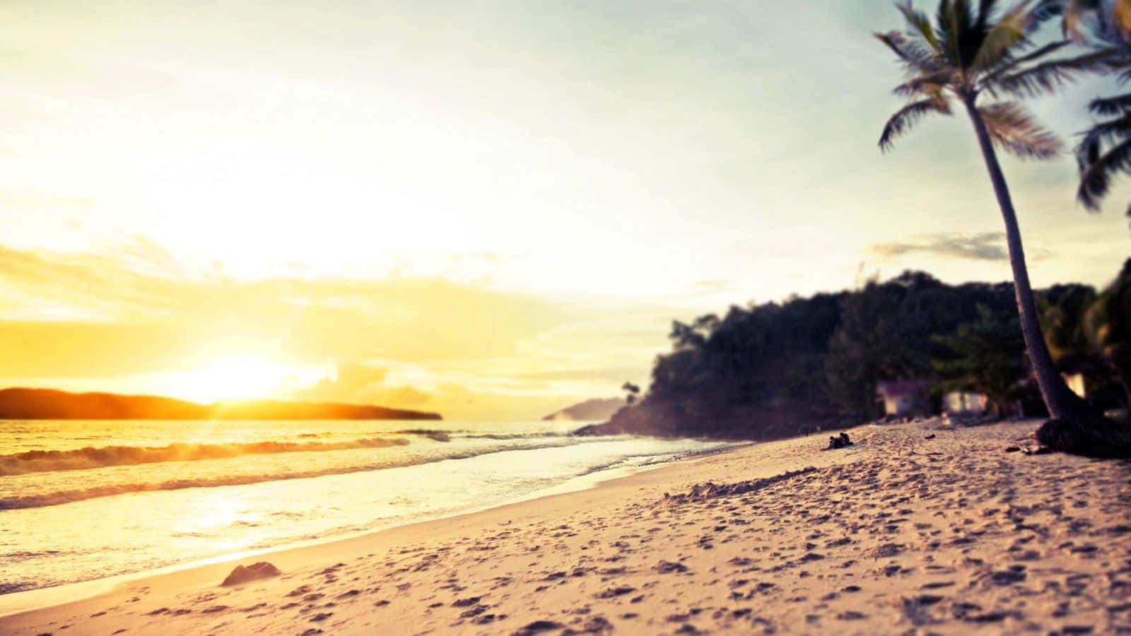 Vacation 桌布 壁紙 — 金色夕陽灑落在寧靜的熱帶海灘上，棕櫚樹搖曳，溫柔的波浪輕拍柔軟的沙灘。