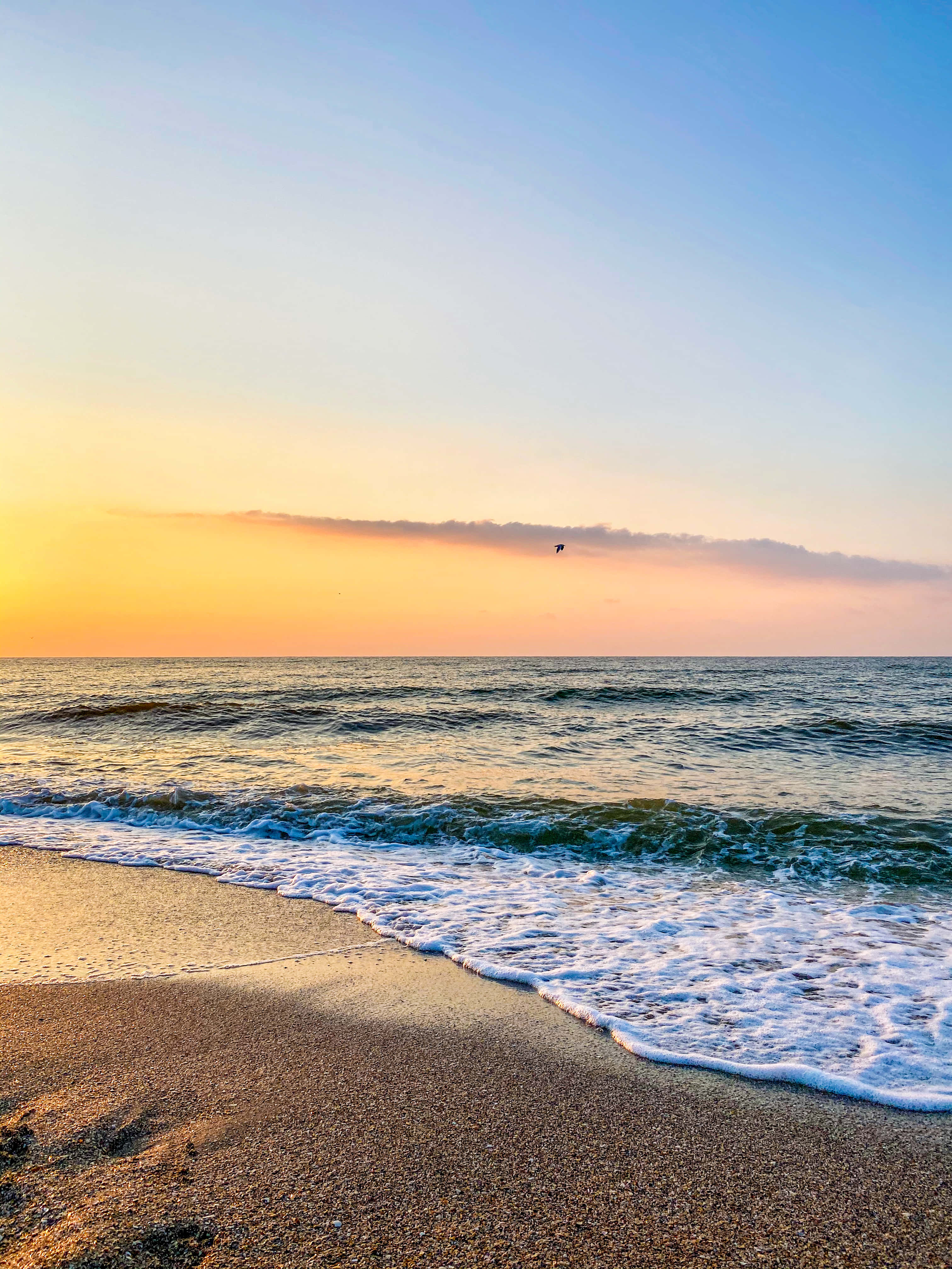 Sea Beach 桌布 壁紙 — 金色夕陽灑落在平靜的海浪上，海浪滾滾湧上沙灘，一隻孤鳥在頭頂飛翔。