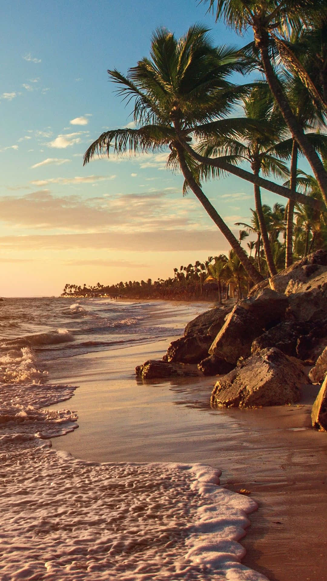 Palm Trees Beach 桌布 壁紙 — 金色夕陽灑落熱帶海灘，棕櫚樹在岩石海岸旁搖曳，伴隨著溫柔的波浪。