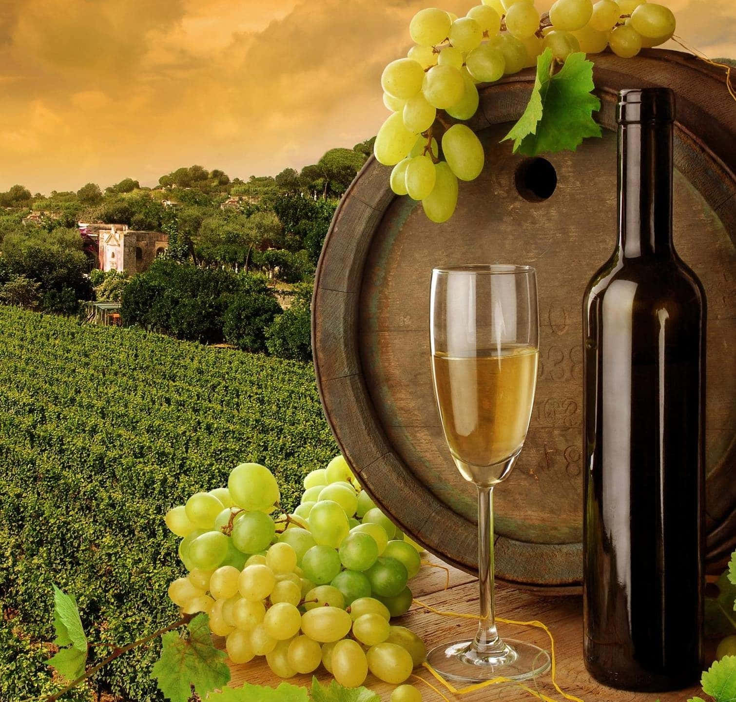 Grape 桌布 壁紙 — 金色夕陽照亮了葡萄酒桶玻璃瓶和新鮮的綠葡萄，背景是葡萄園景觀。