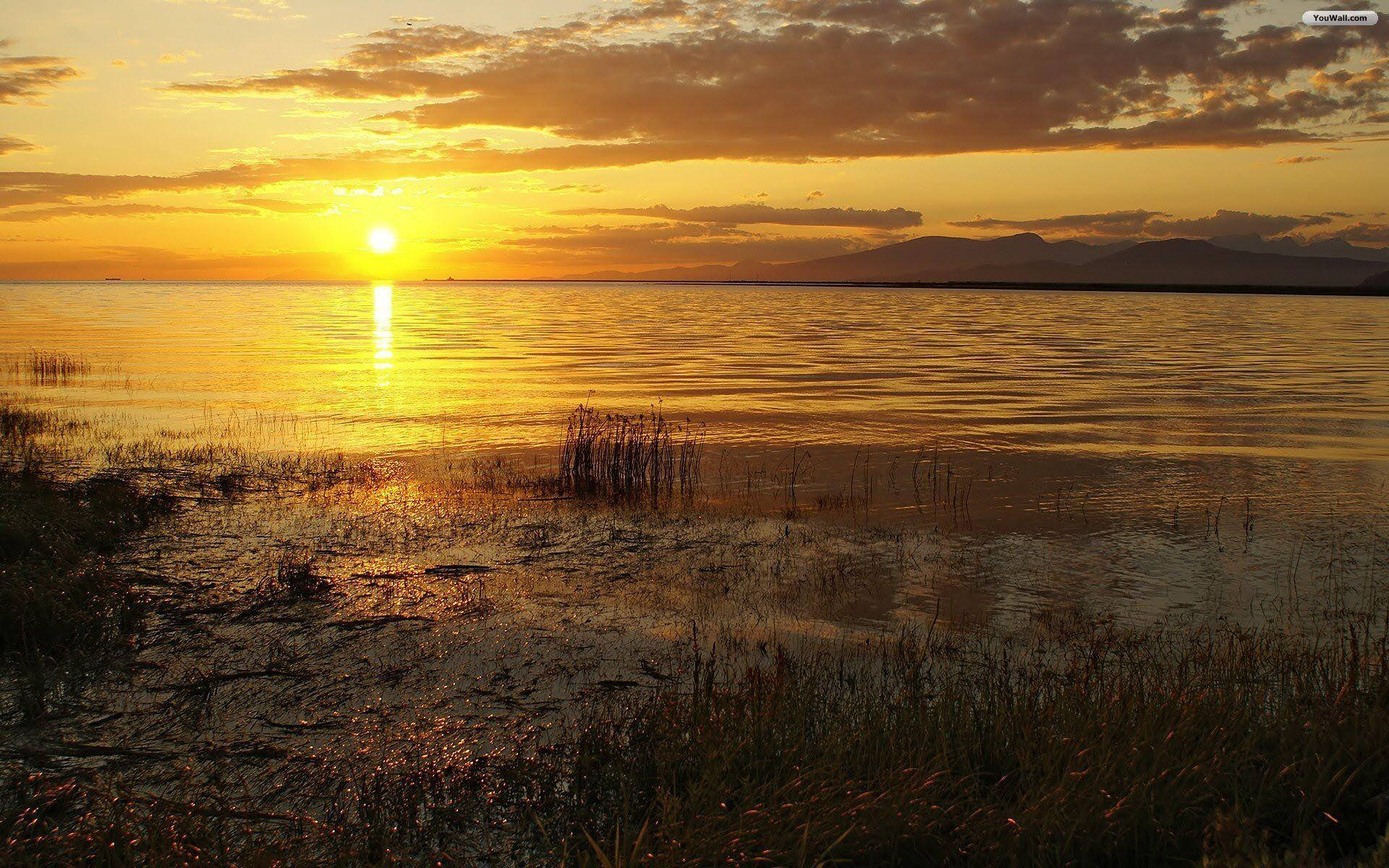 Lake 桌布 壁紙 — 金色夕陽照耀在平靜的湖面上，遠山和前景的蘆葦相映成趣。