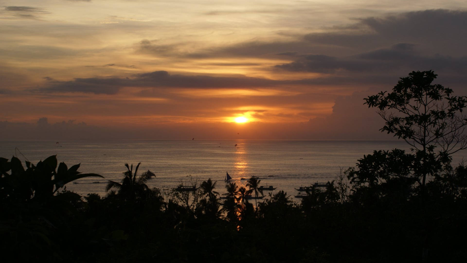 View 桌布 壁紙 — 金色夕陽照耀海洋，前景有棕櫚樹和船隻的剪影。
