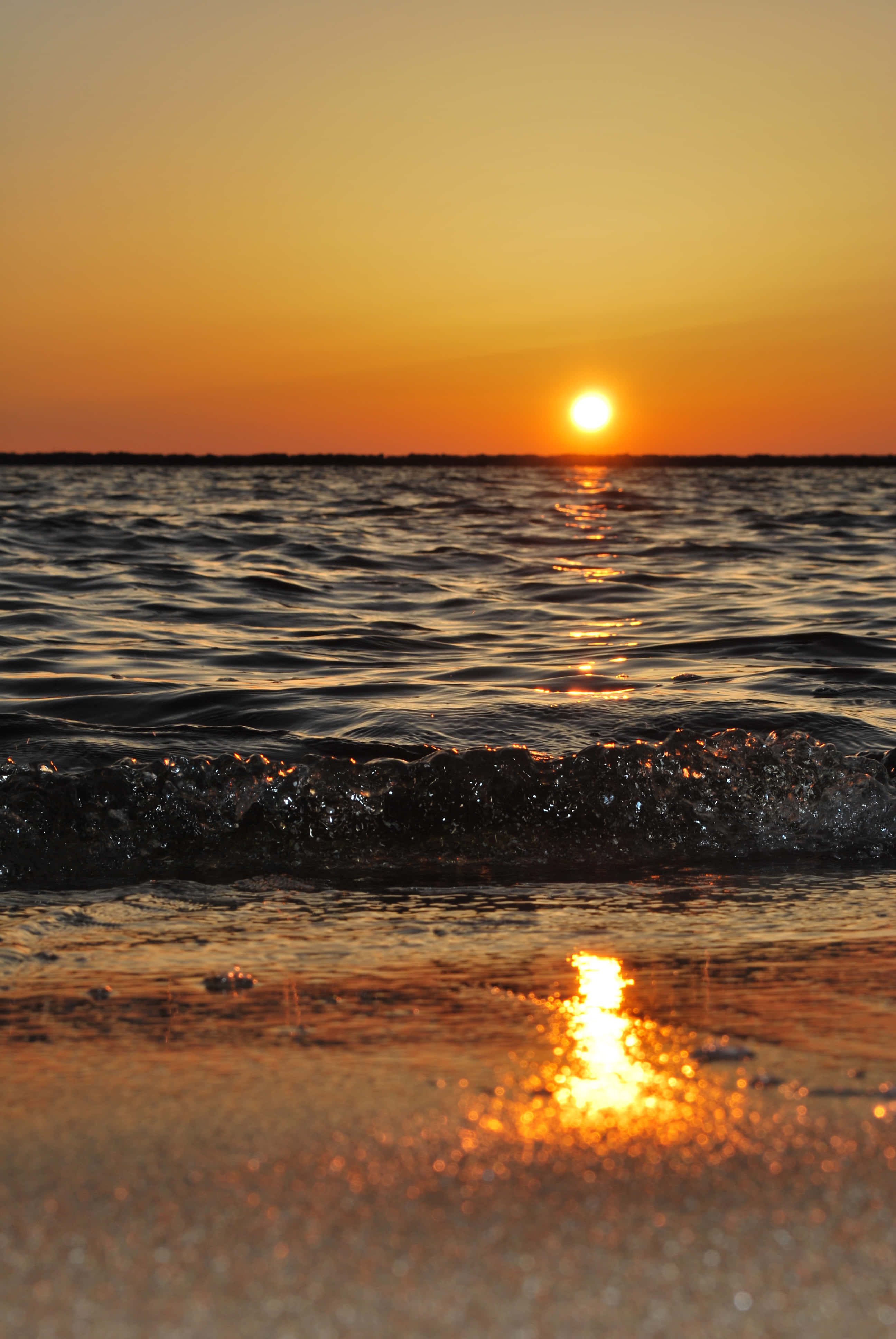 日落 桌布 壁紙 — 金色夕陽照耀著平靜的海浪，拍打著濕沙，呈現寧靜的海岸景色。