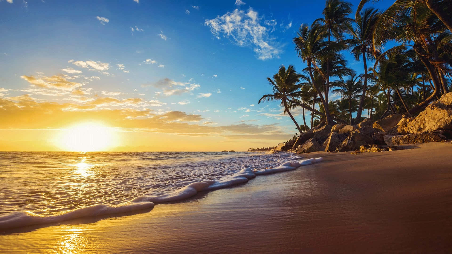 平靜 桌布 壁紙 — 金色夕陽照耀著平靜的海浪拍打著沙灘，沙灘上搖曳的棕櫚樹襯托著充滿活力的藍天。