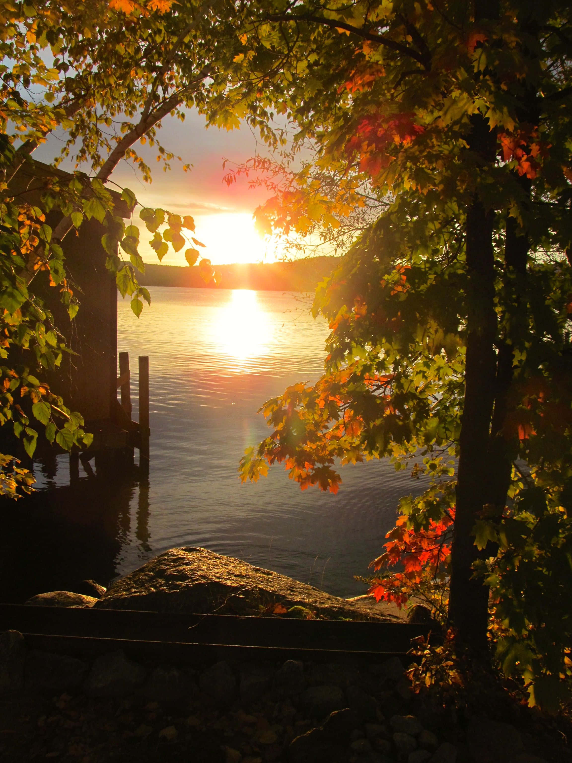 Beautiful Autumn 桌布 壁紙 — 金色夕陽穿過秋葉，映襯著平靜的湖泊、木製碼頭和遠山。