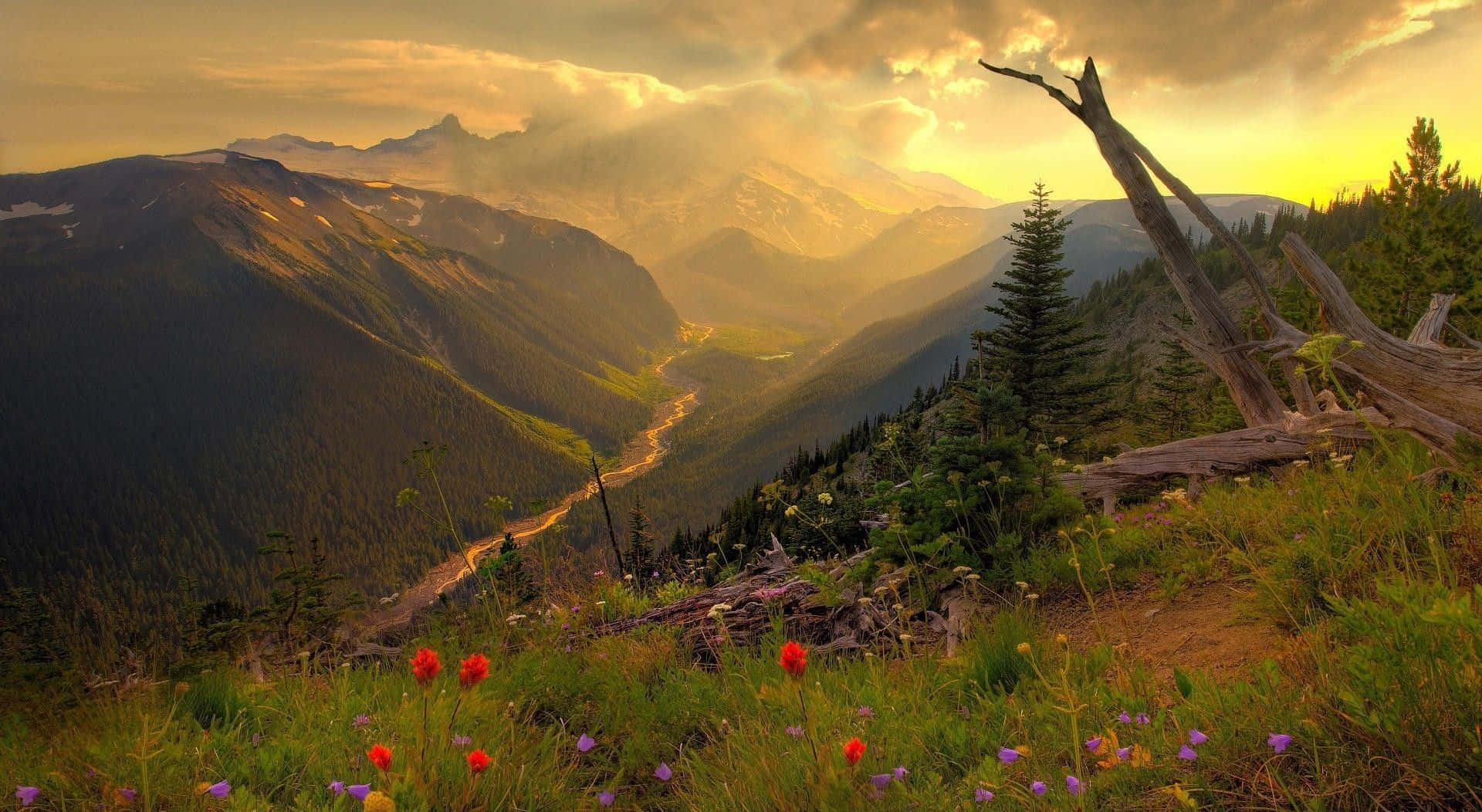 Summer Landscape 桌布 壁紙 — 金色夕陽穿過雲層，照耀著廣闊的山谷，山谷中點綴著野花和蜿蜒的道路。