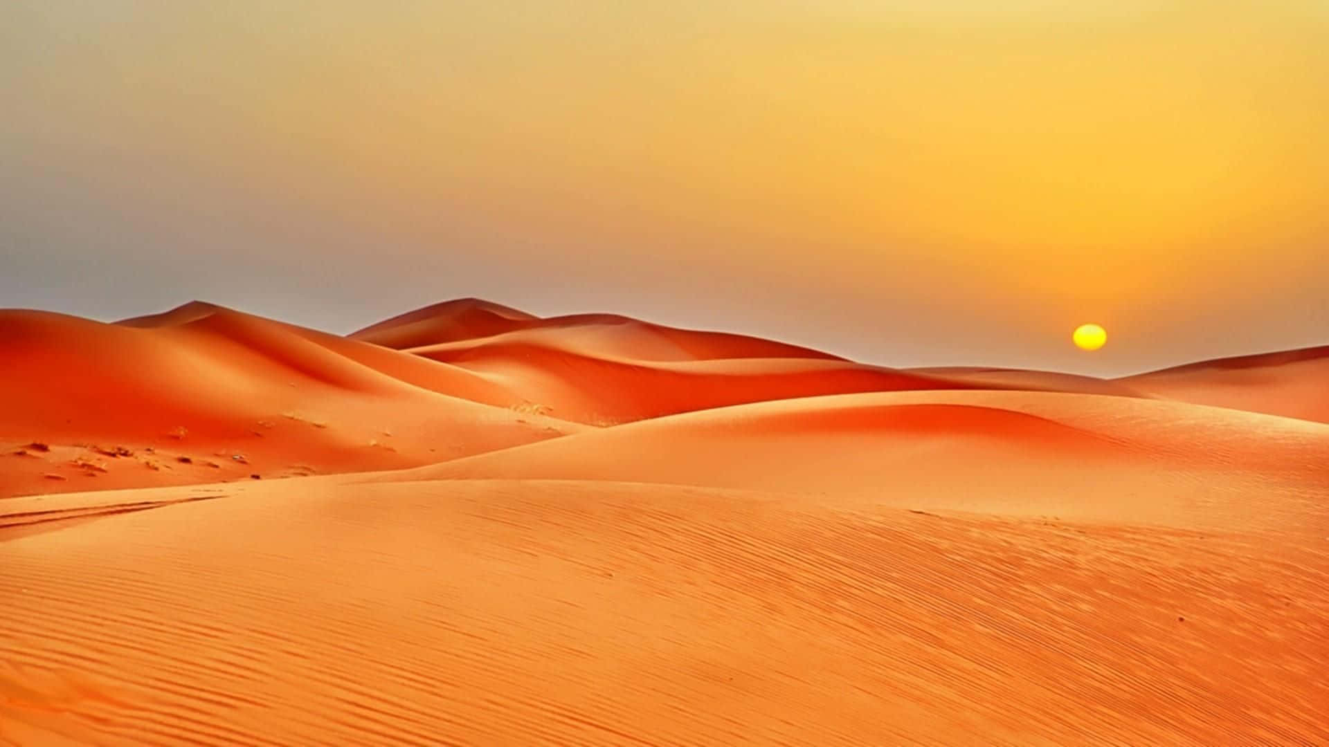 Sand Dunes 桌布 壁紙 — 金色夕陽落在無盡的橙色沙丘上，將溫暖的光芒投射在波紋狀的沙漠地形上。