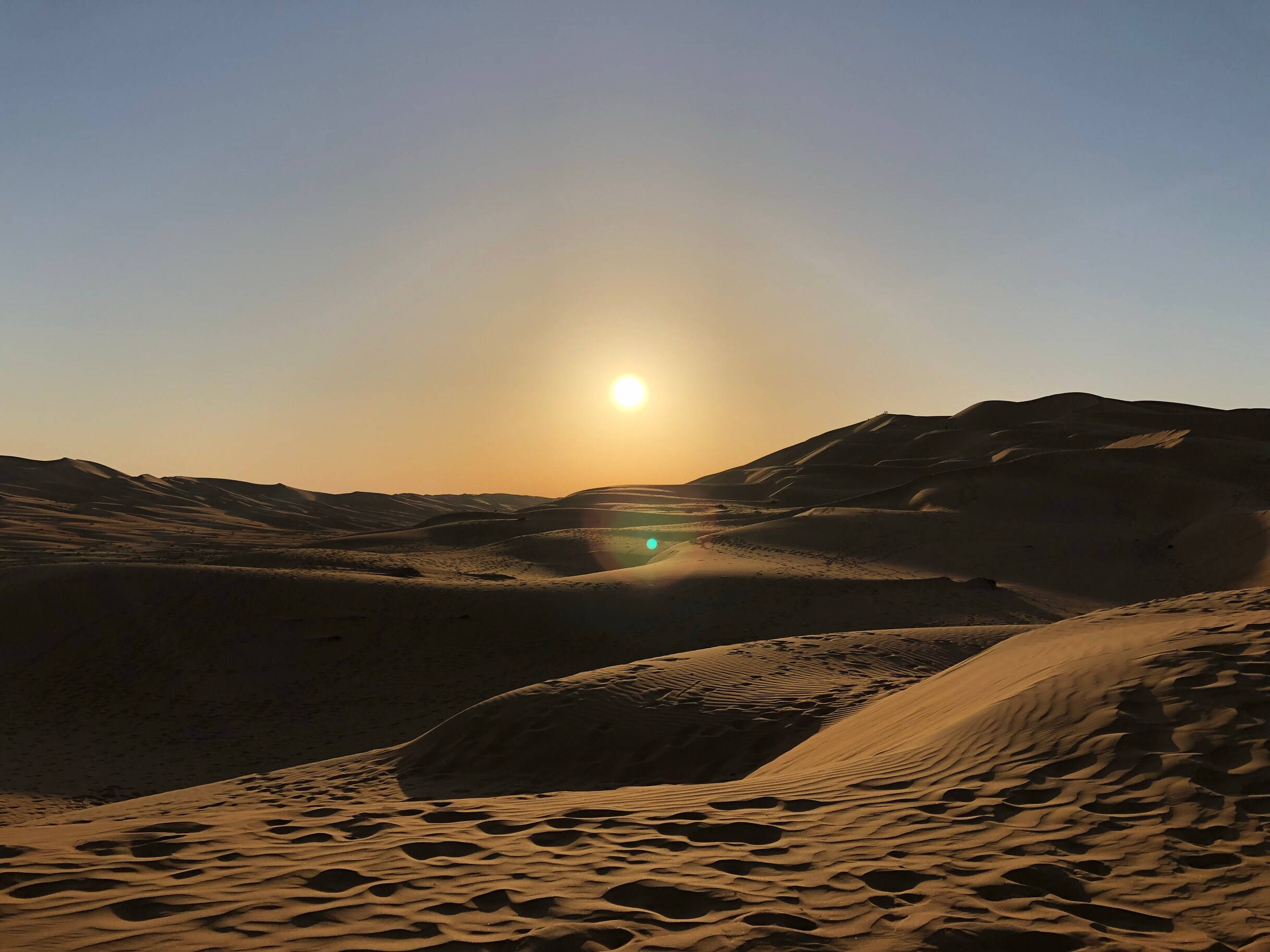 Desert Sun 桌布 壁紙 — 金色夕陽落在無盡的沙丘上，在沙漠景觀中投下長長的影子。