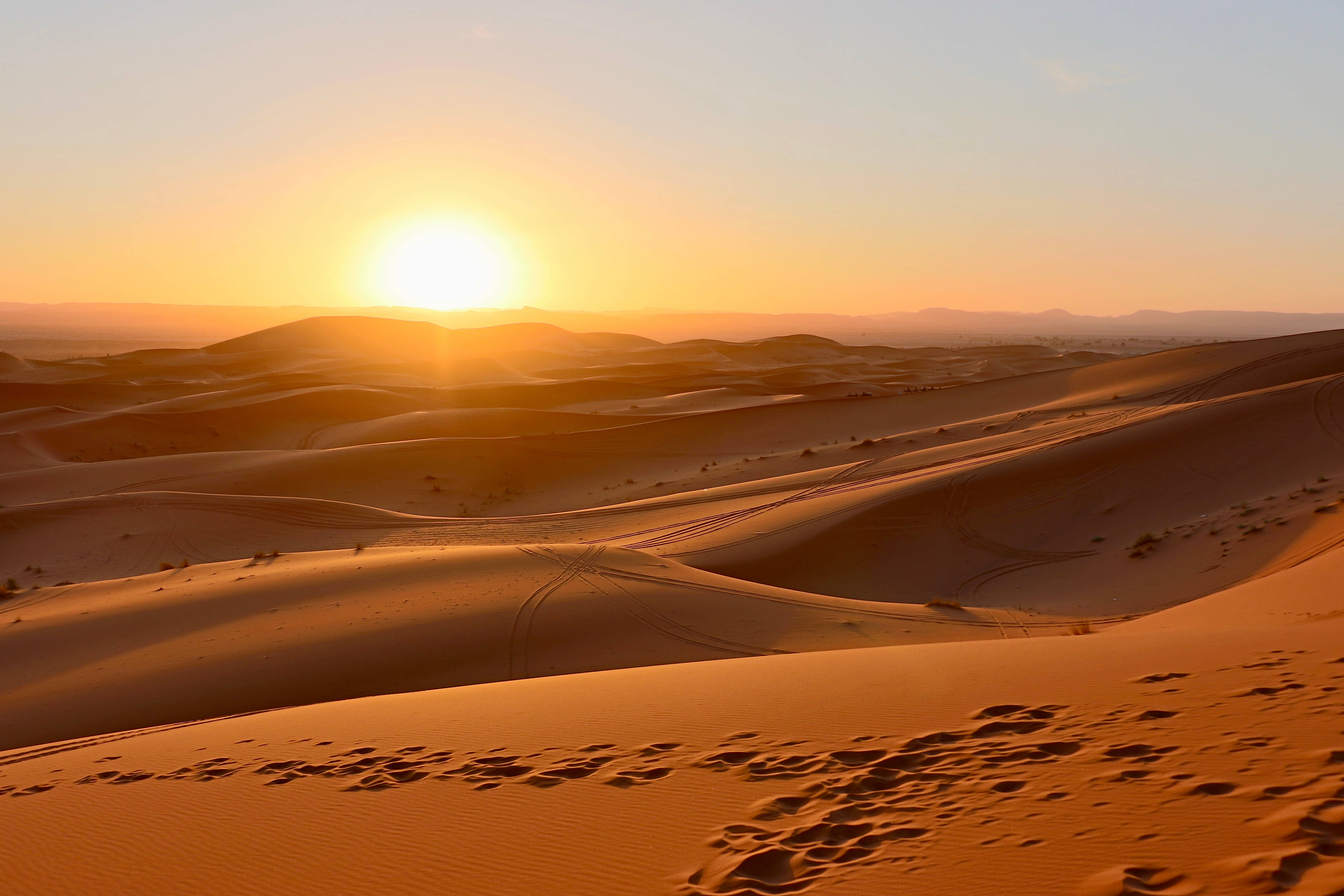 Sahara 桌布 壁紙 — 金色夕陽落在無盡的沙丘上，投下長長的影子，突顯出溫暖沙漠景觀中的足跡。