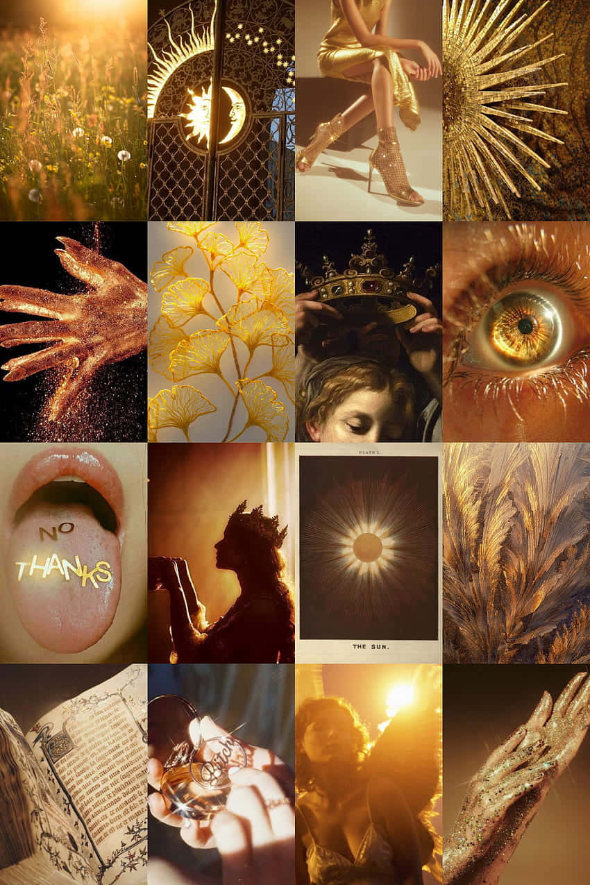 Leo Aesthetic 桌布 壁紙 — 金色太陽圖案和閃閃發光的手，在自然與超現實特寫的超現實拼貼中散發溫暖。